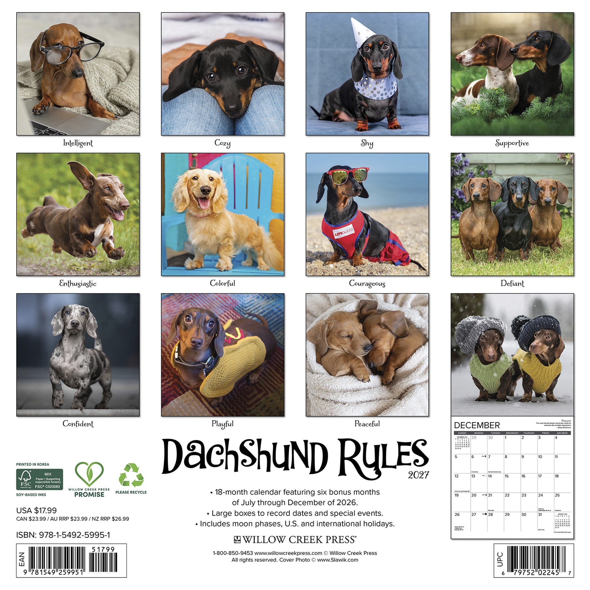 Dachshund Rules 2027 Wall Calendar