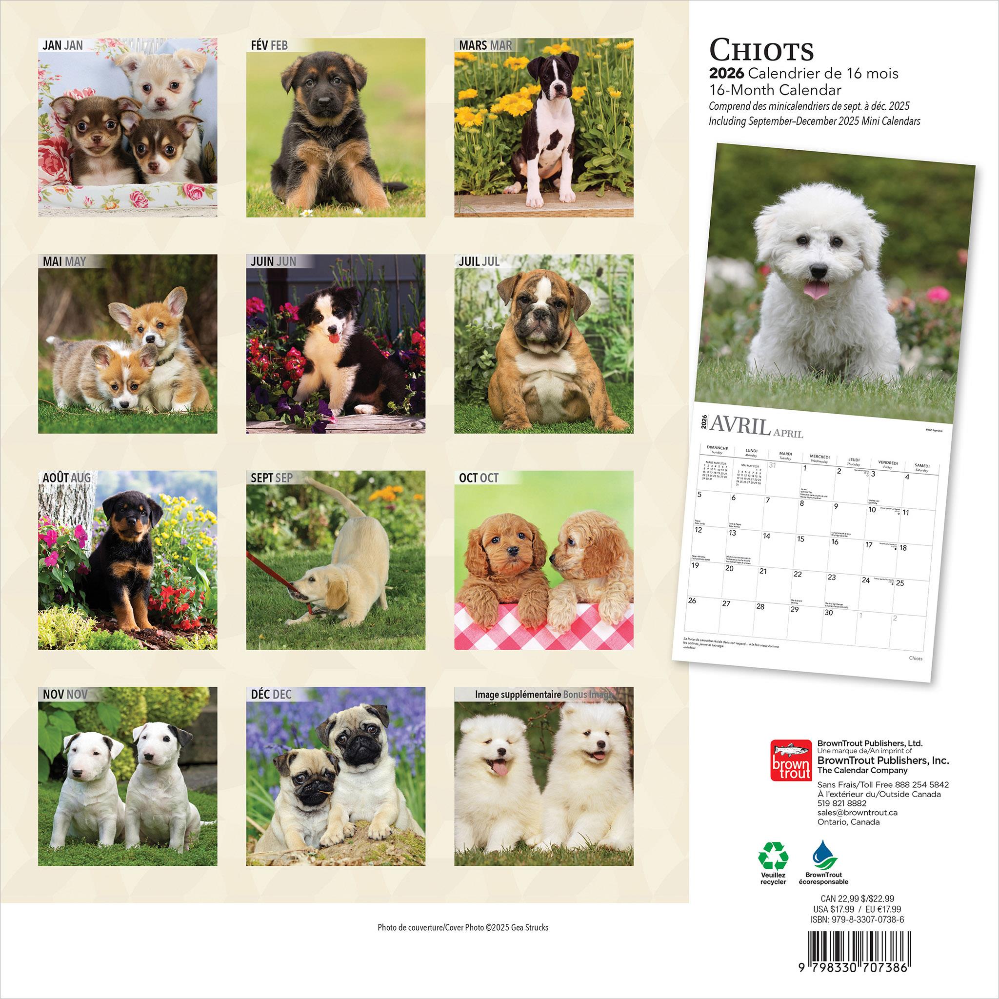Chiots 2026 Calendrier de 12 Mois (French)