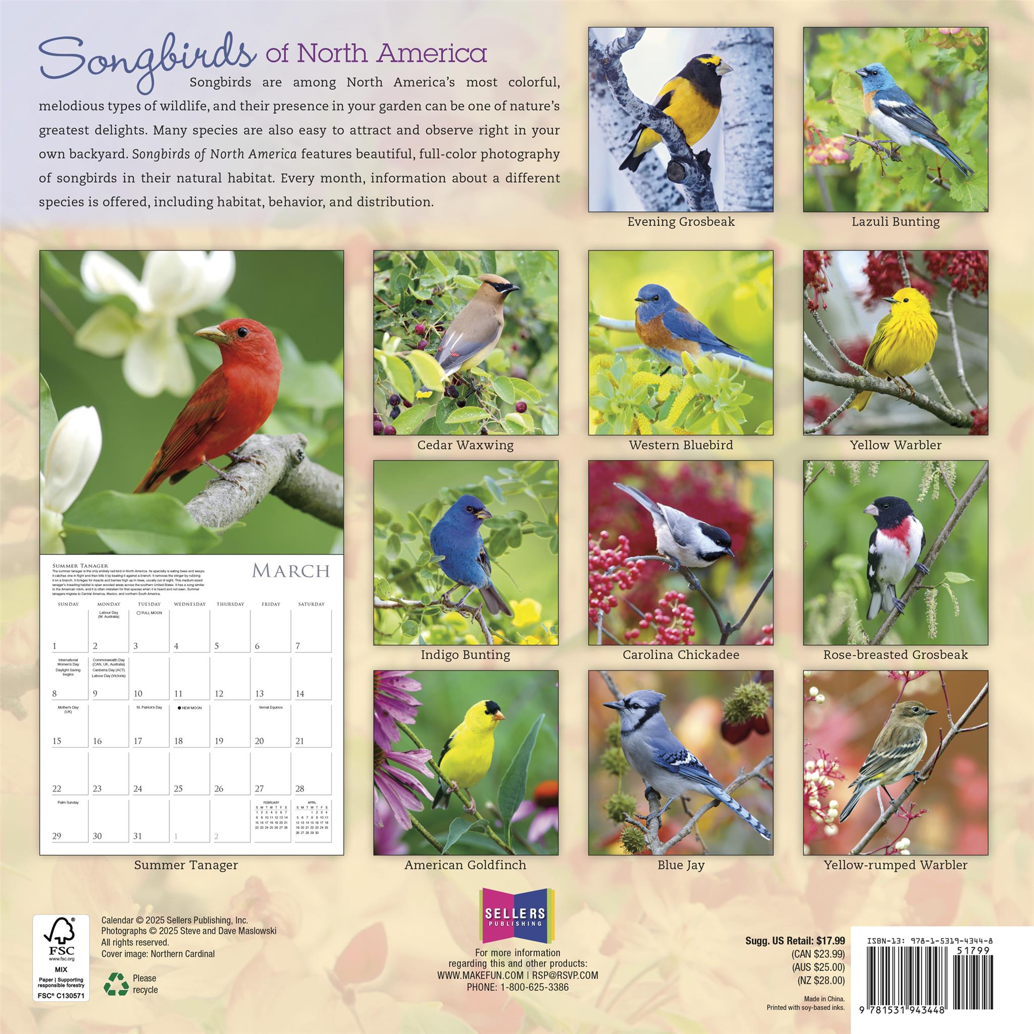 Songbirds Of North America 2026 Wall Calendar