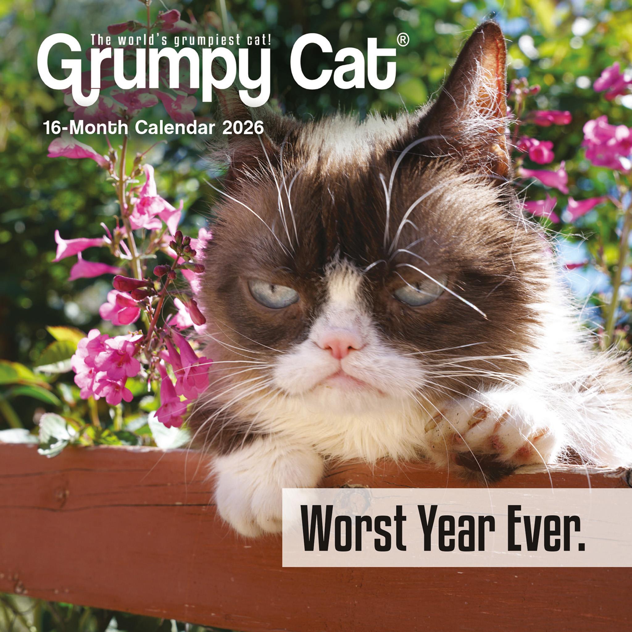 Grumpy Cat 2026 Mini Calendar