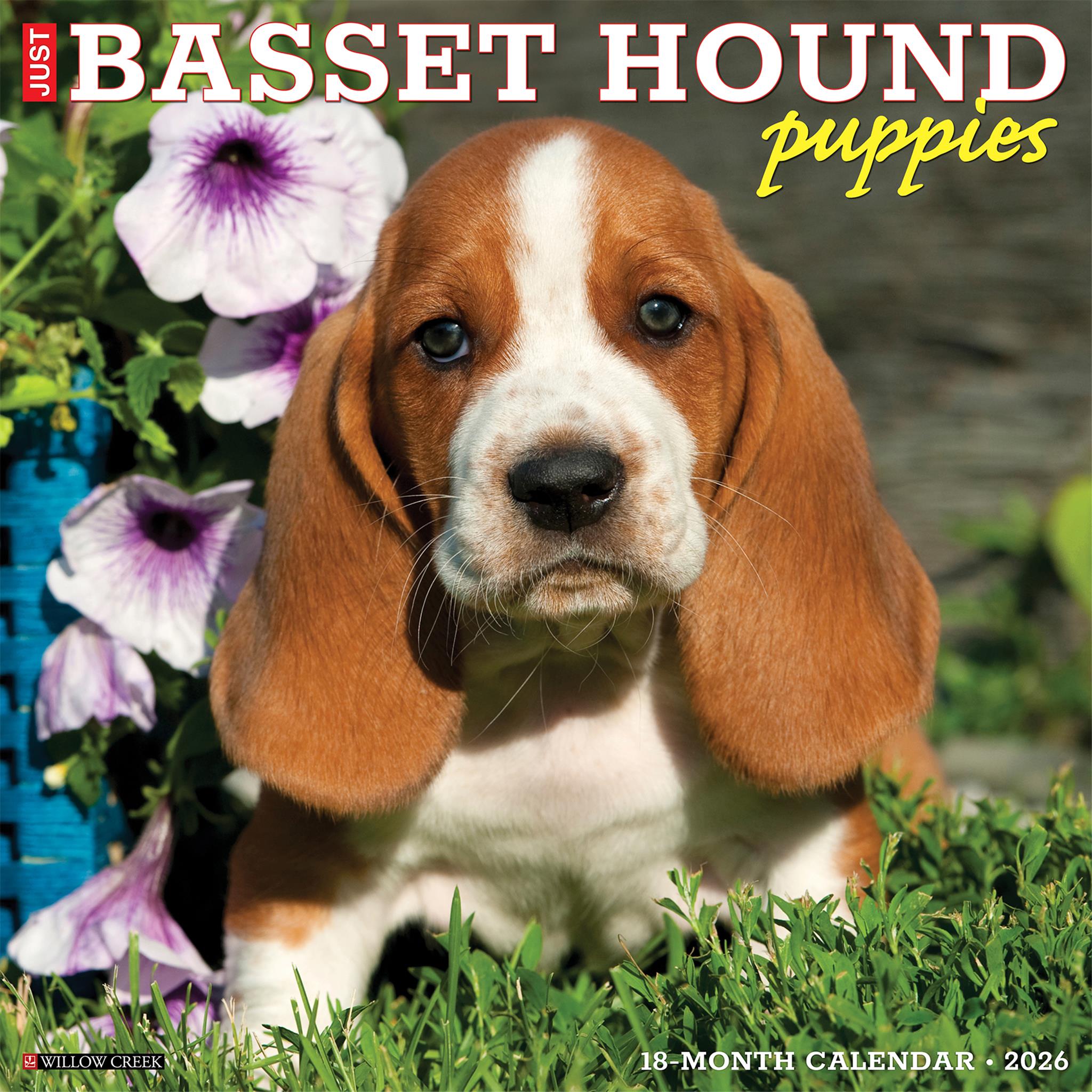 Just Basset Hound Puppies 2026 Wall Calendar - Online Only