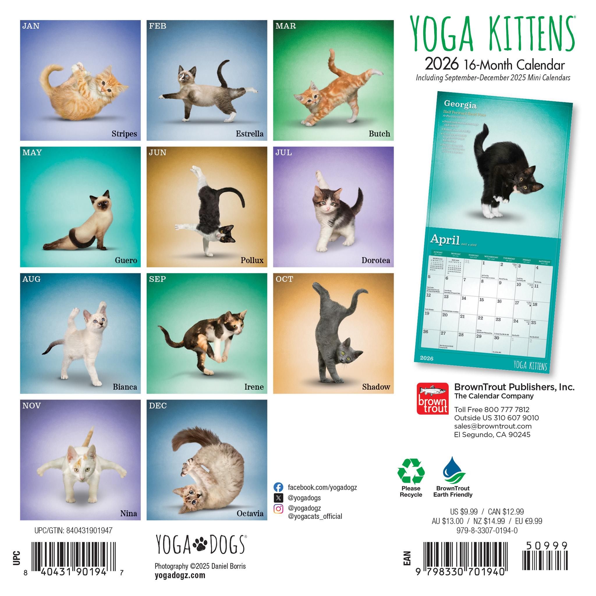 Yoga Kittens 2026 Mini Calendar