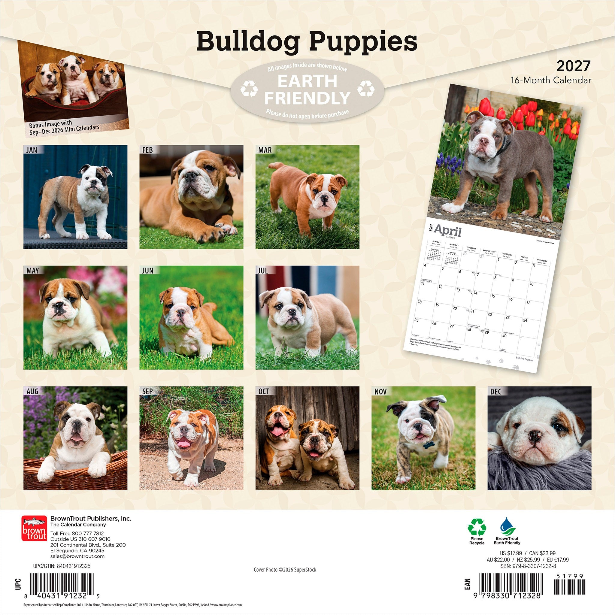 Bulldog Puppies 2027 Wall Calendar - Online Only