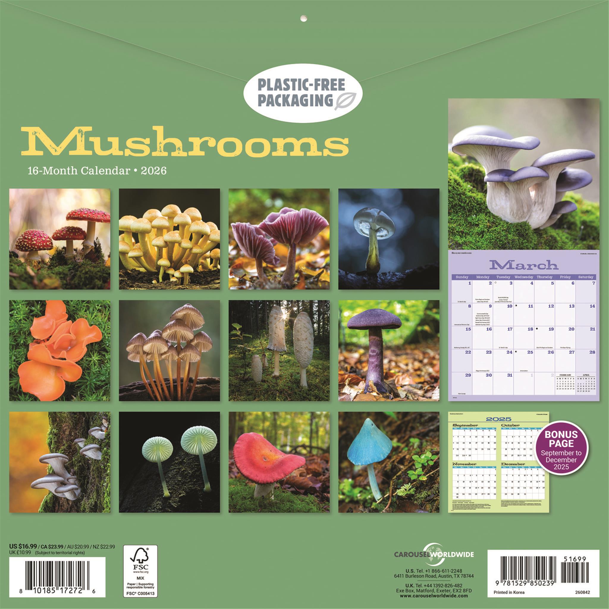 Mushrooms 2026 Wall Calendar