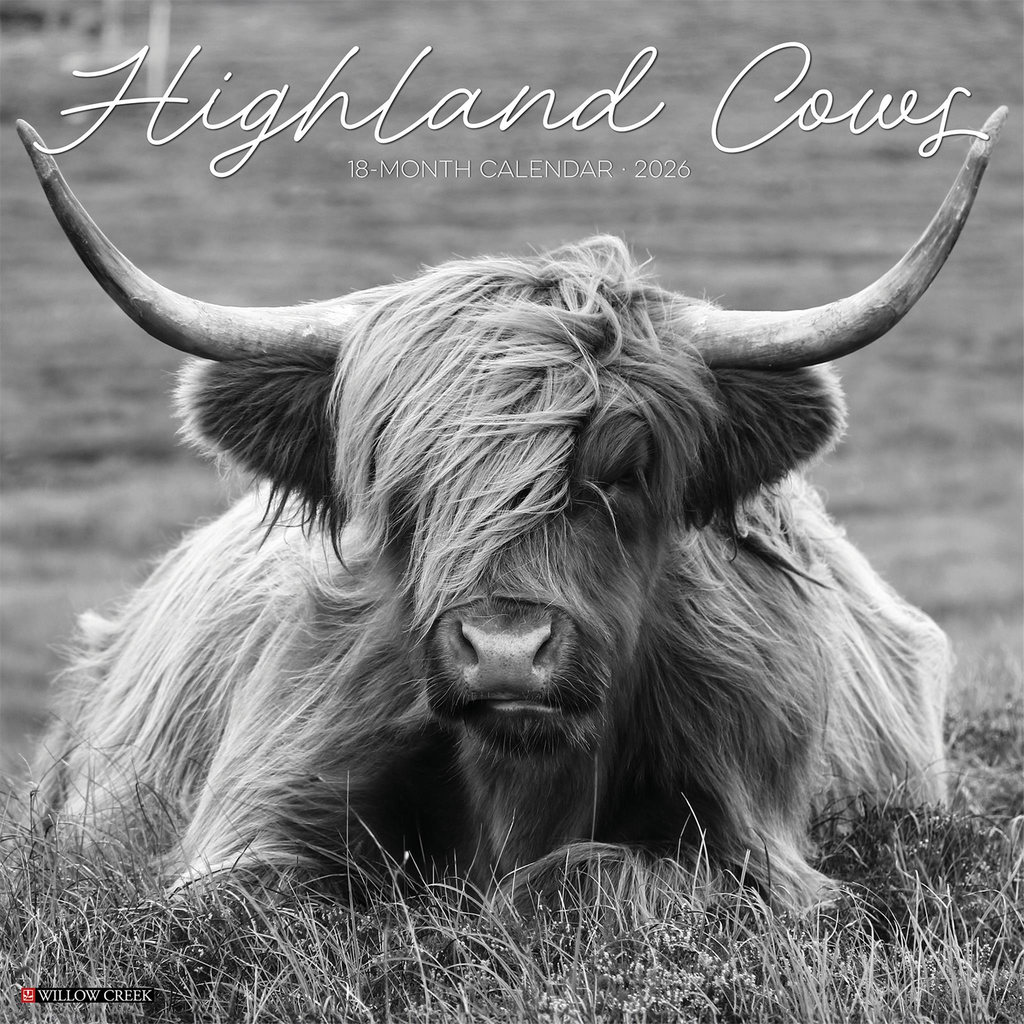 Highland Cows Black and White 2026 Wall Calendar