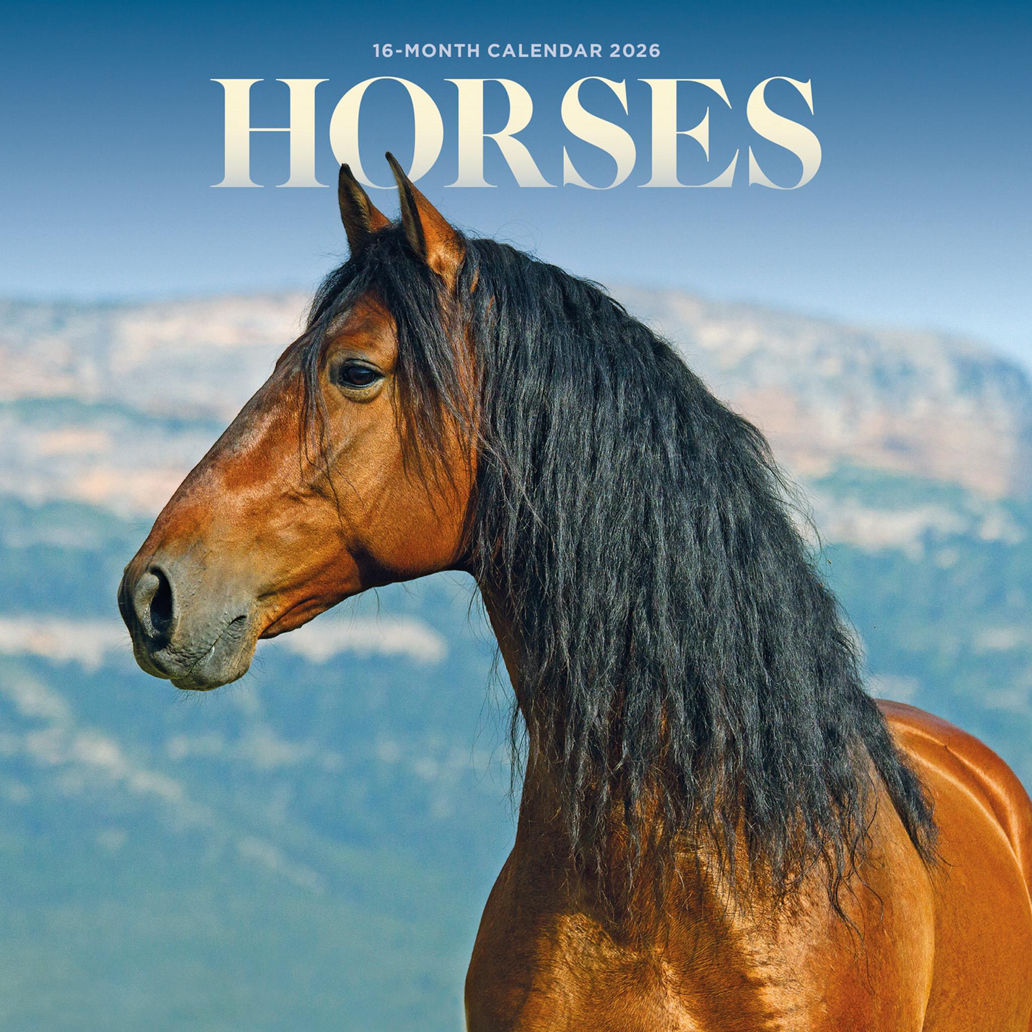 Horses 2026 Mini Calendar