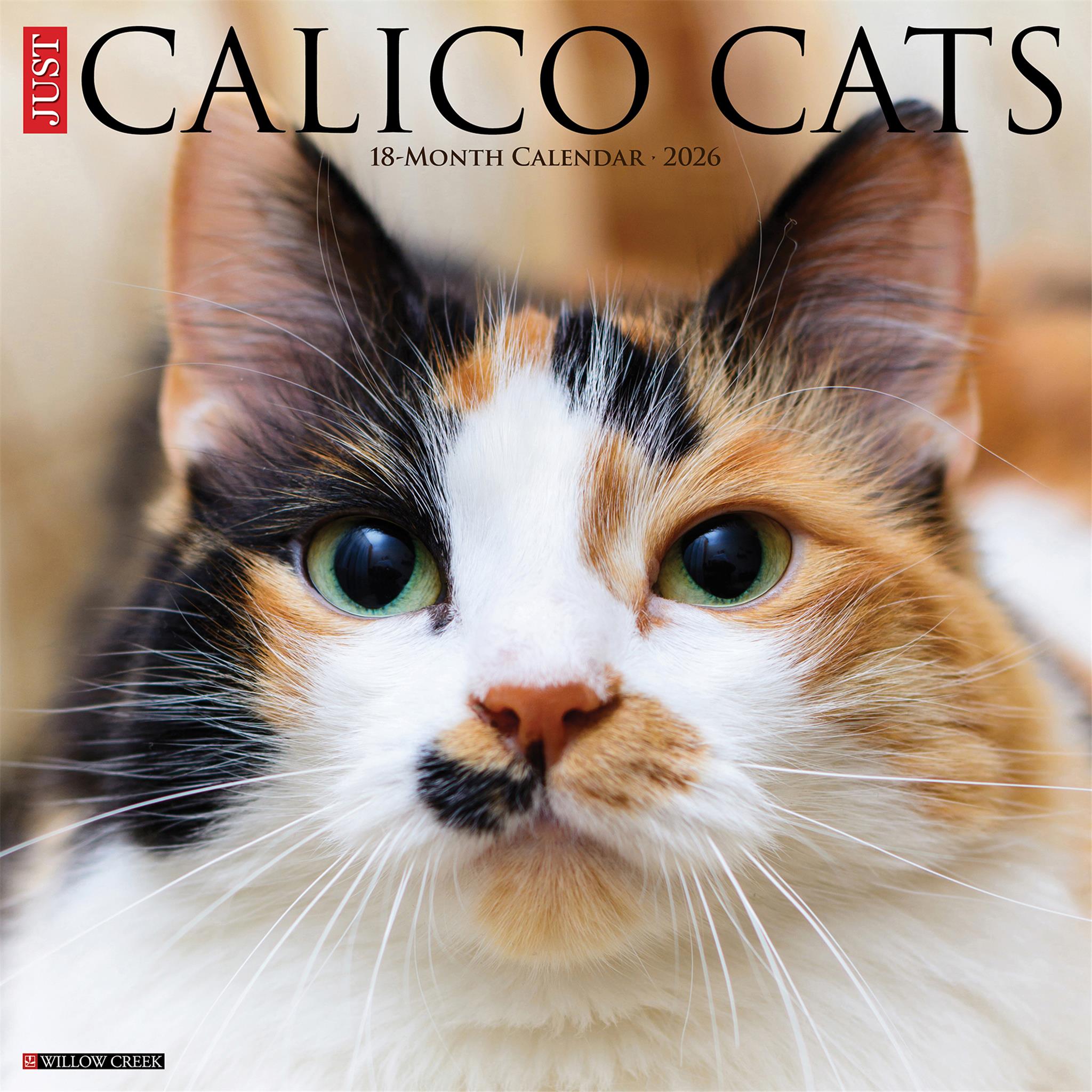 Just Calico Cats 2026 Wall Calendar