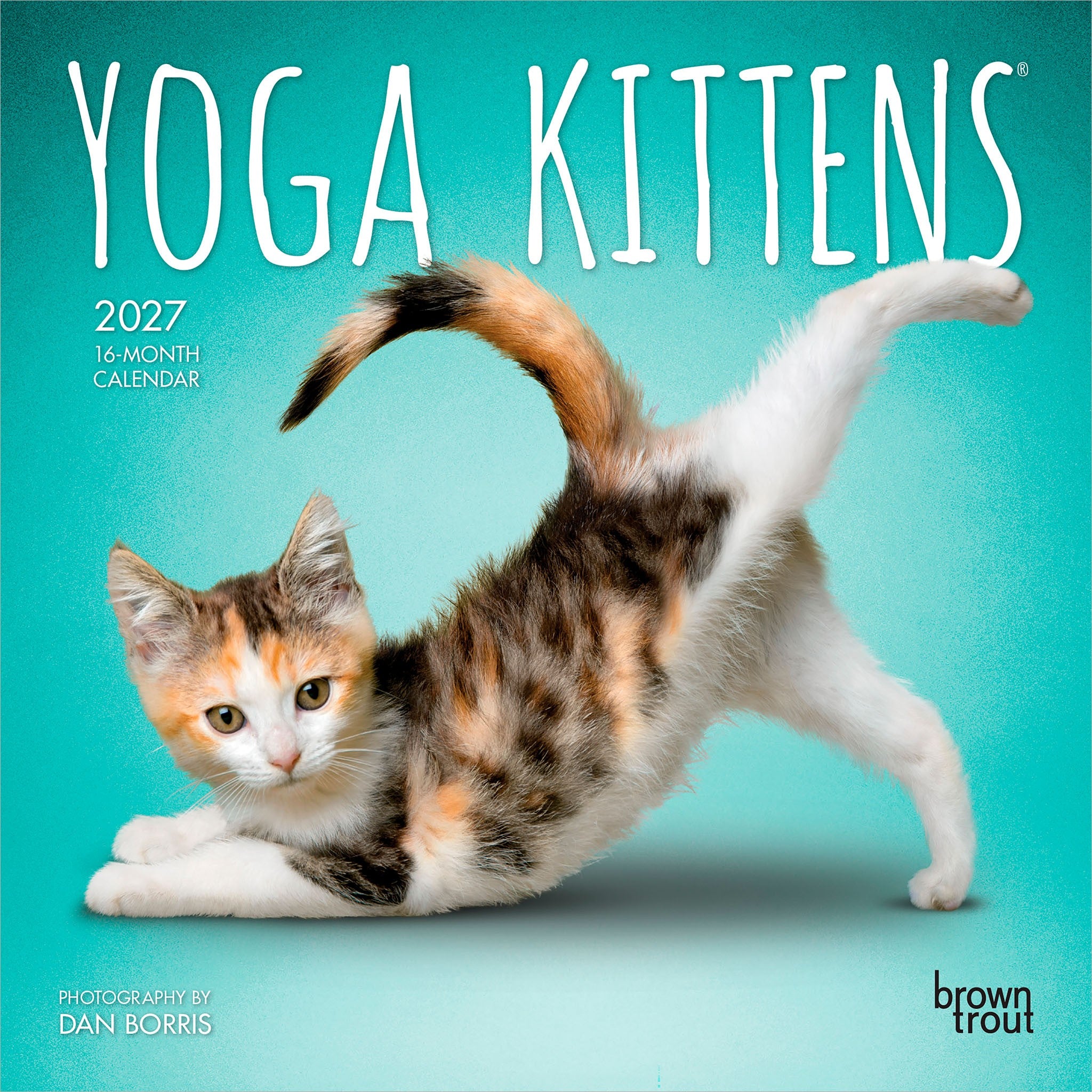 Yoga Kittens 2027 Mini Calendar