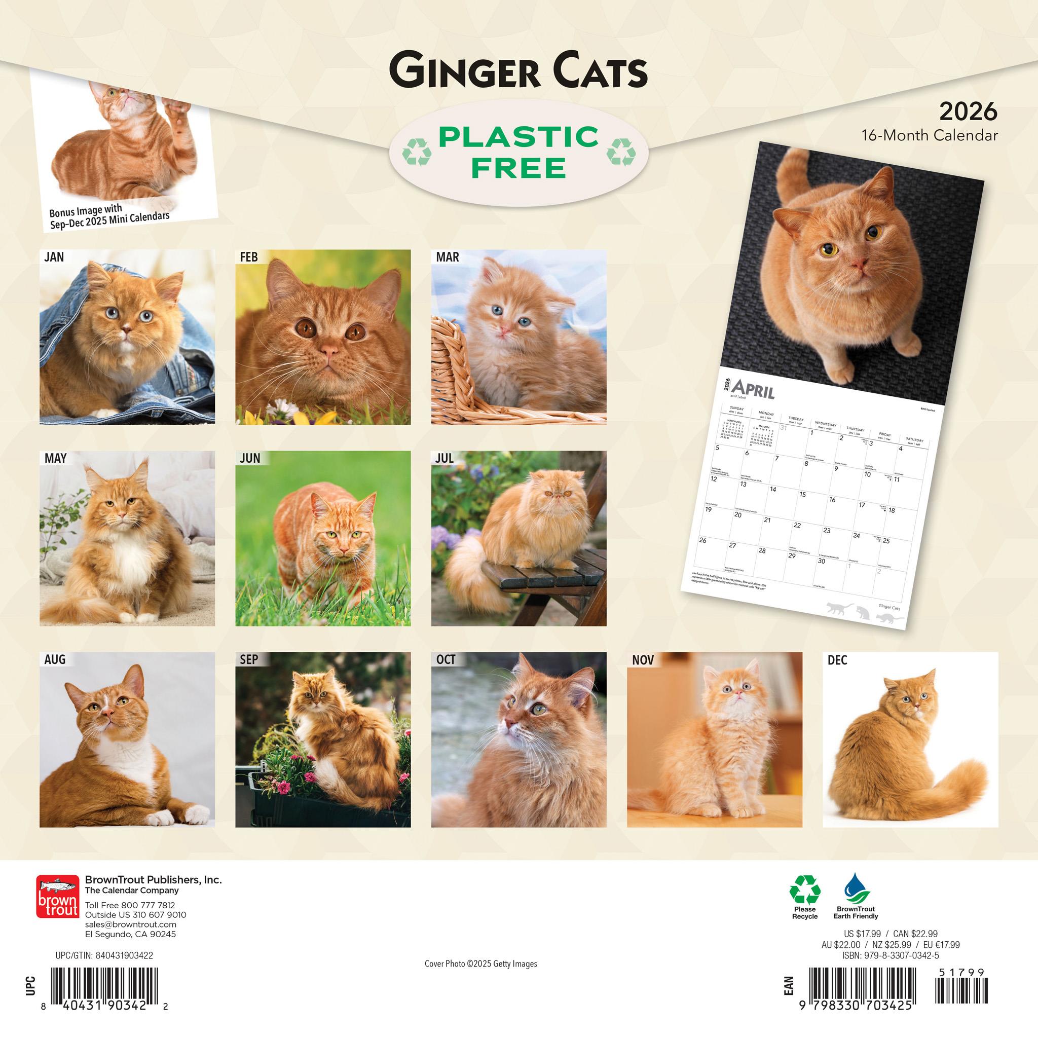 Ginger Cats 2026 Wall Calendar - Calendar Club Canada
