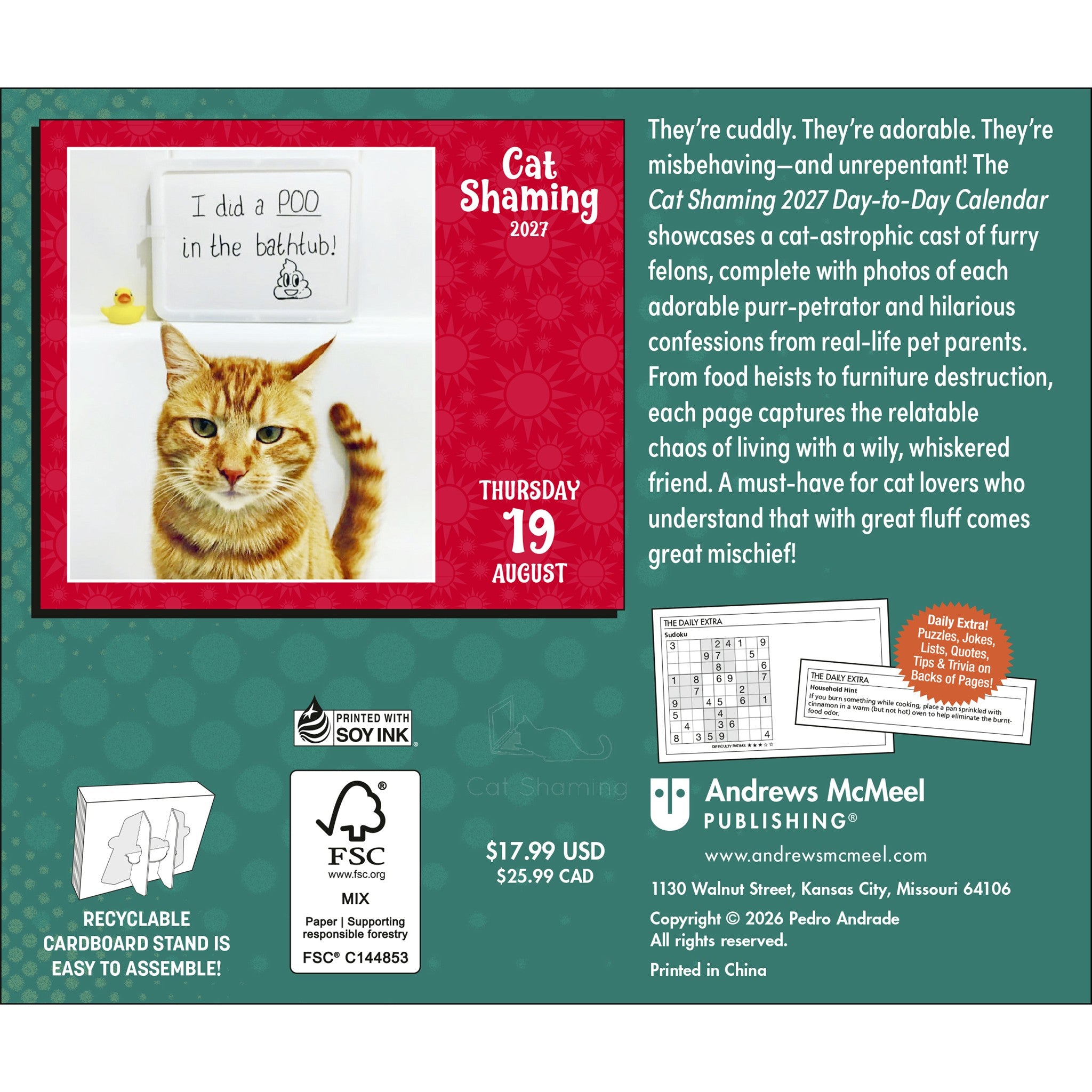 Cat Shaming 2027 Box Calendar