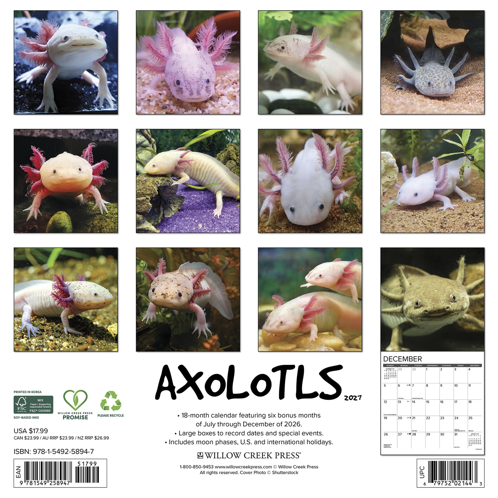 Axolotls 2027 Wall Calendar