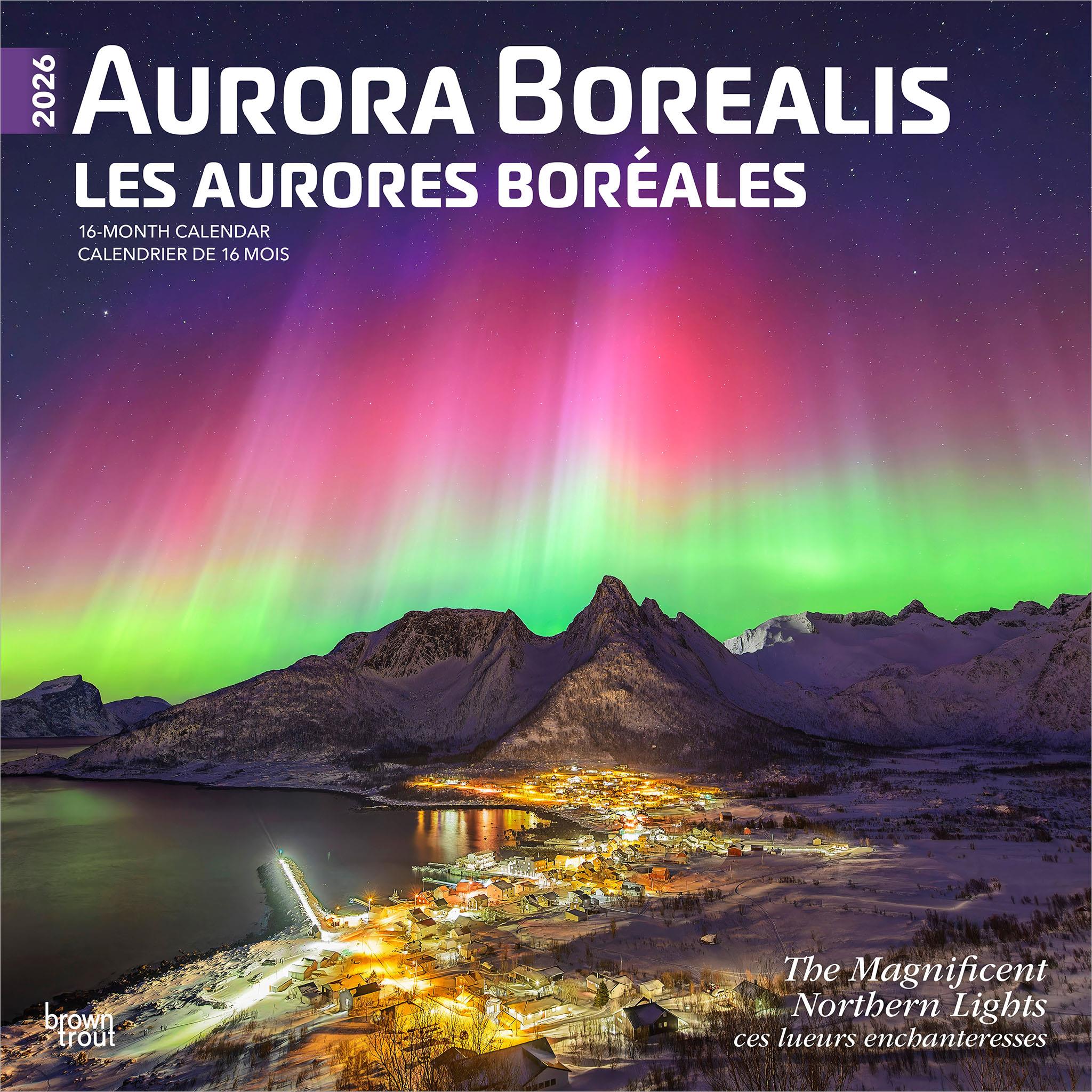 Aurora Borealis Bilingual 2026 Wall Calendar - Online Only