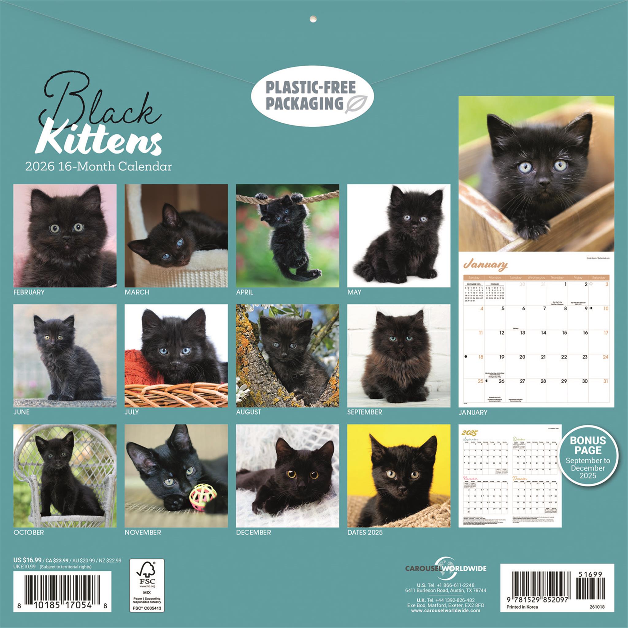 Black Kittens 2026 Wall Calendar