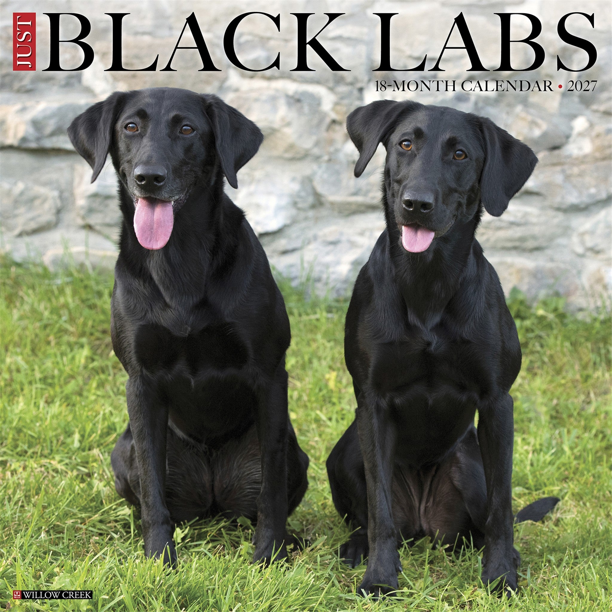 Black Labs 2027 Wall Calendar - Online Only