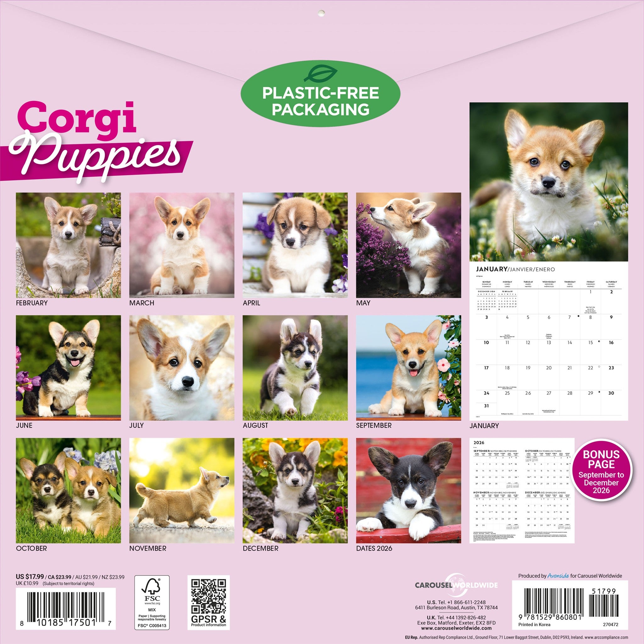 Corgi Puppies 2027 Wall Calendar