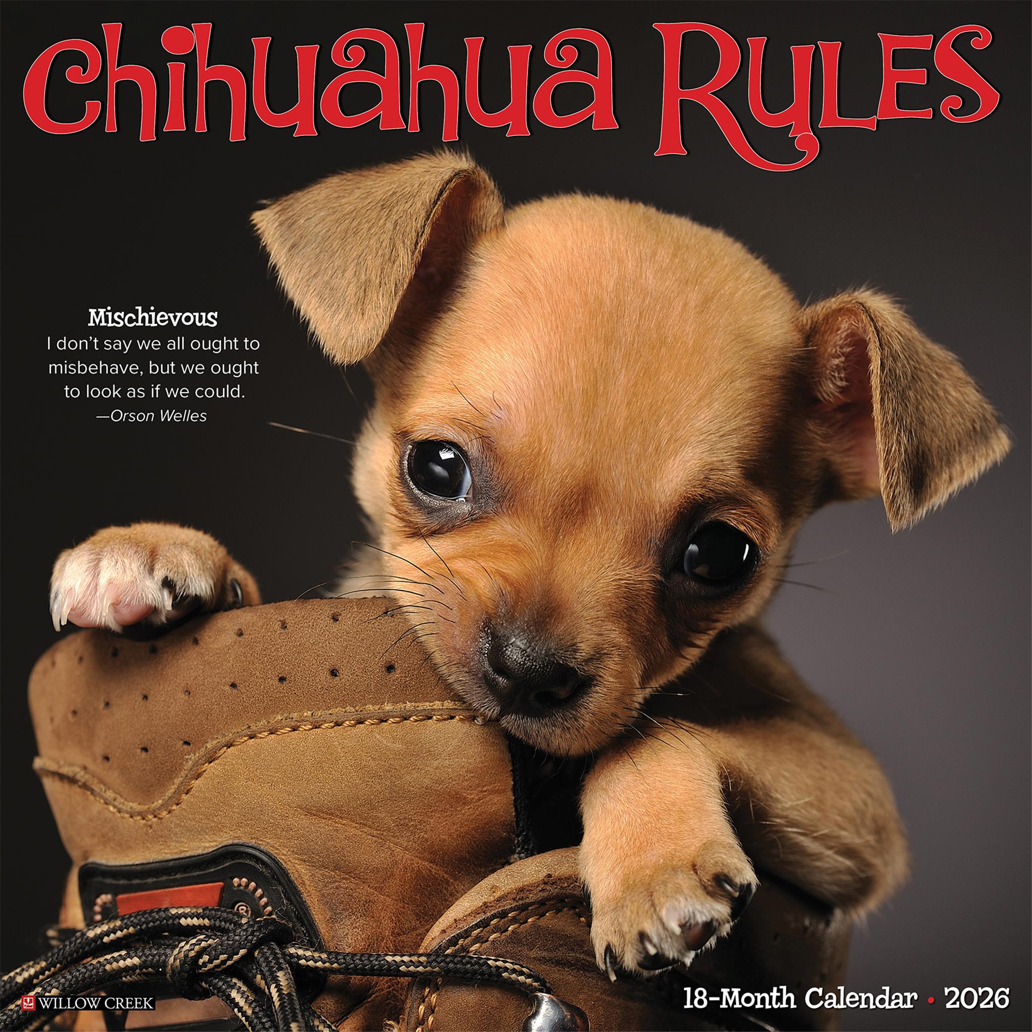 Chihuahua Rules 2026 Wall Calendar - Online Only