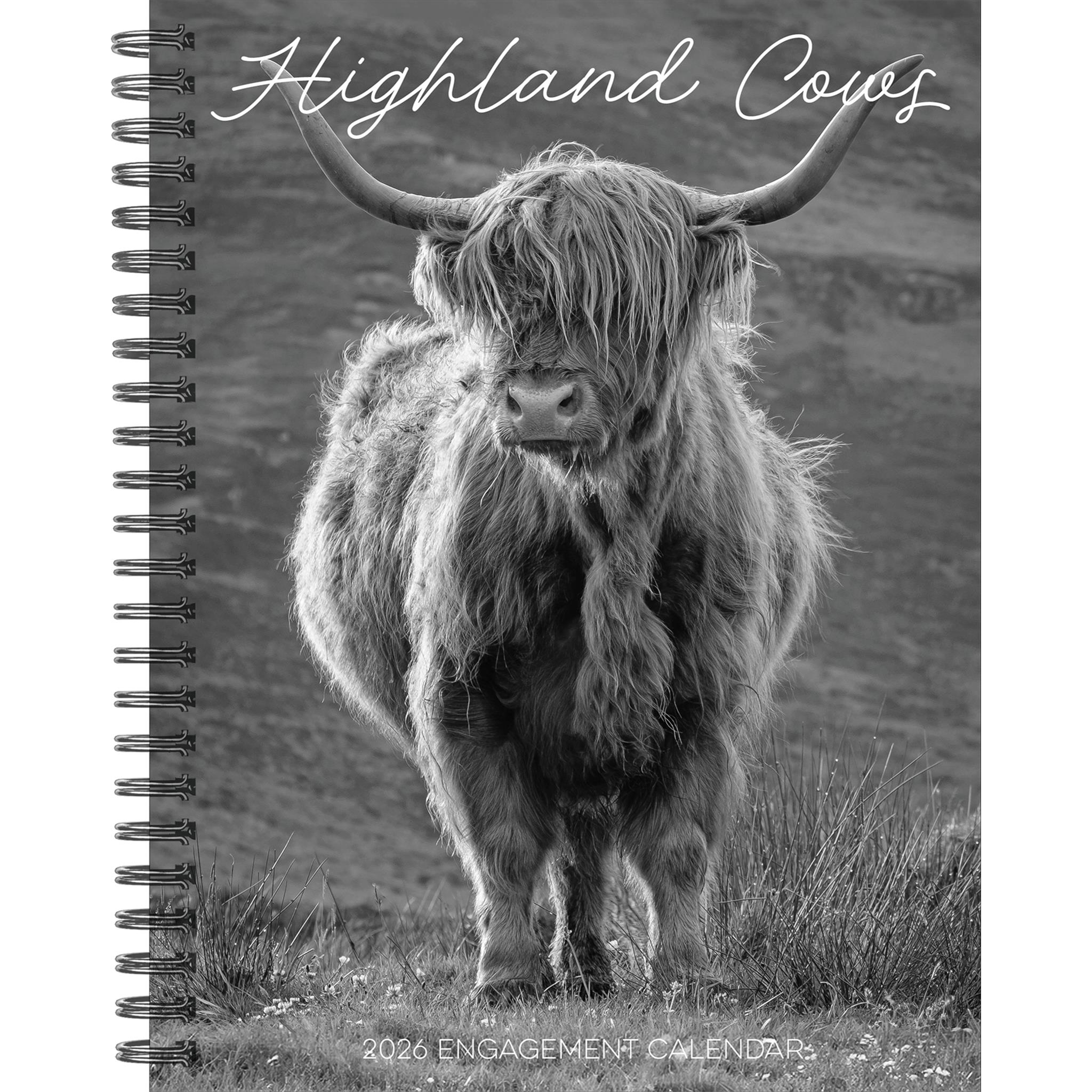 Highland Cows 2026 Engagement Calendar
