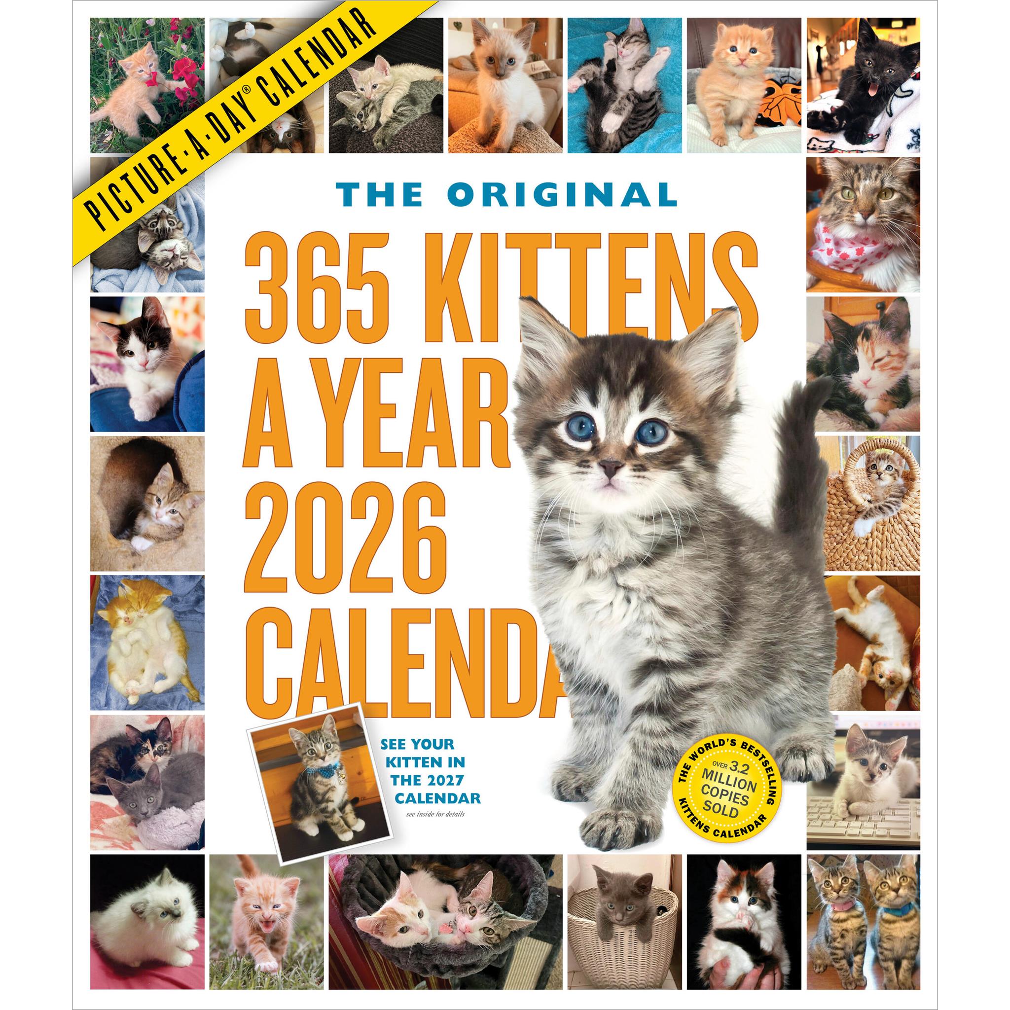 Kittens 365 2026 Wall Calendar