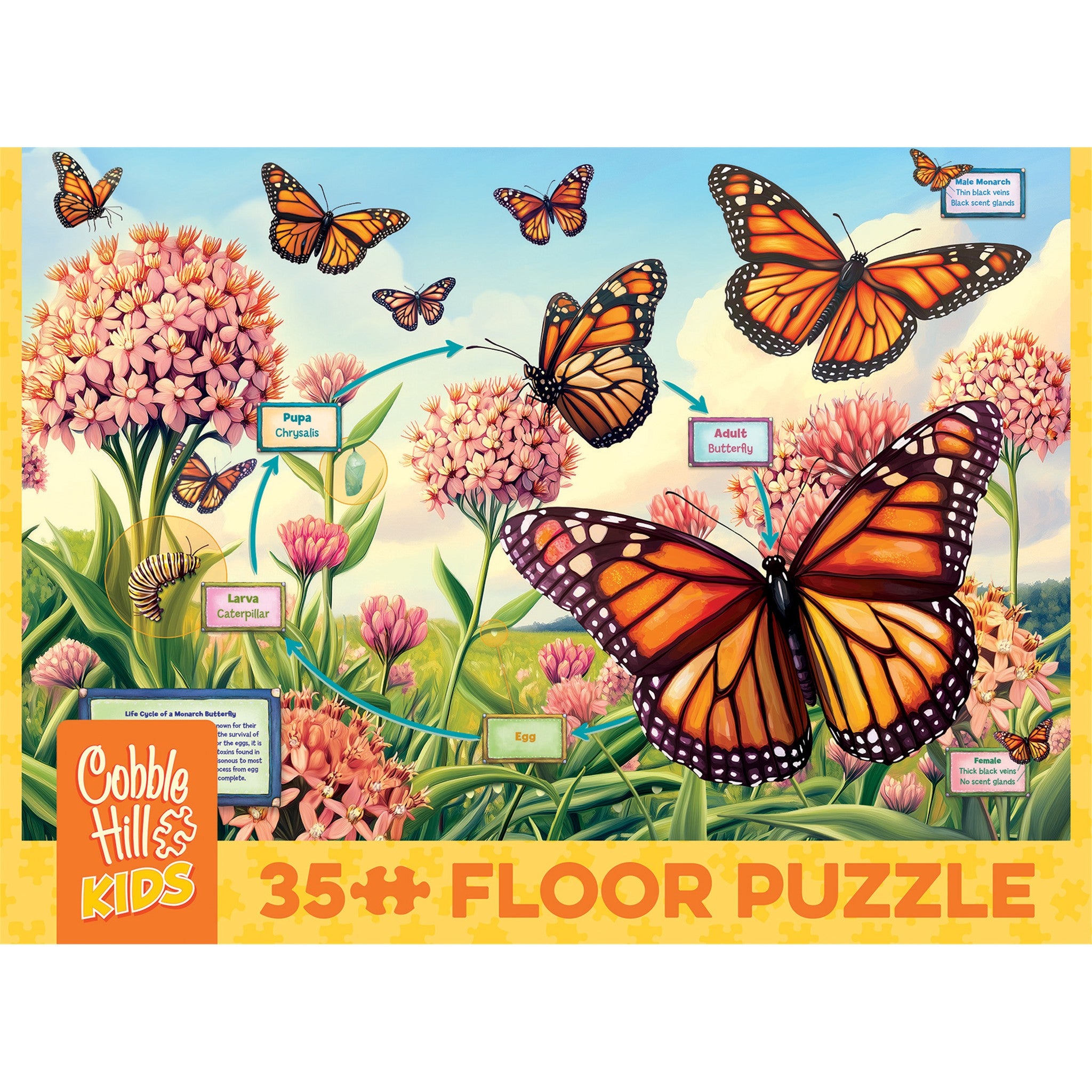 Life Cycle of a Monarch 35 Piece Floor Puzzle - Online Only