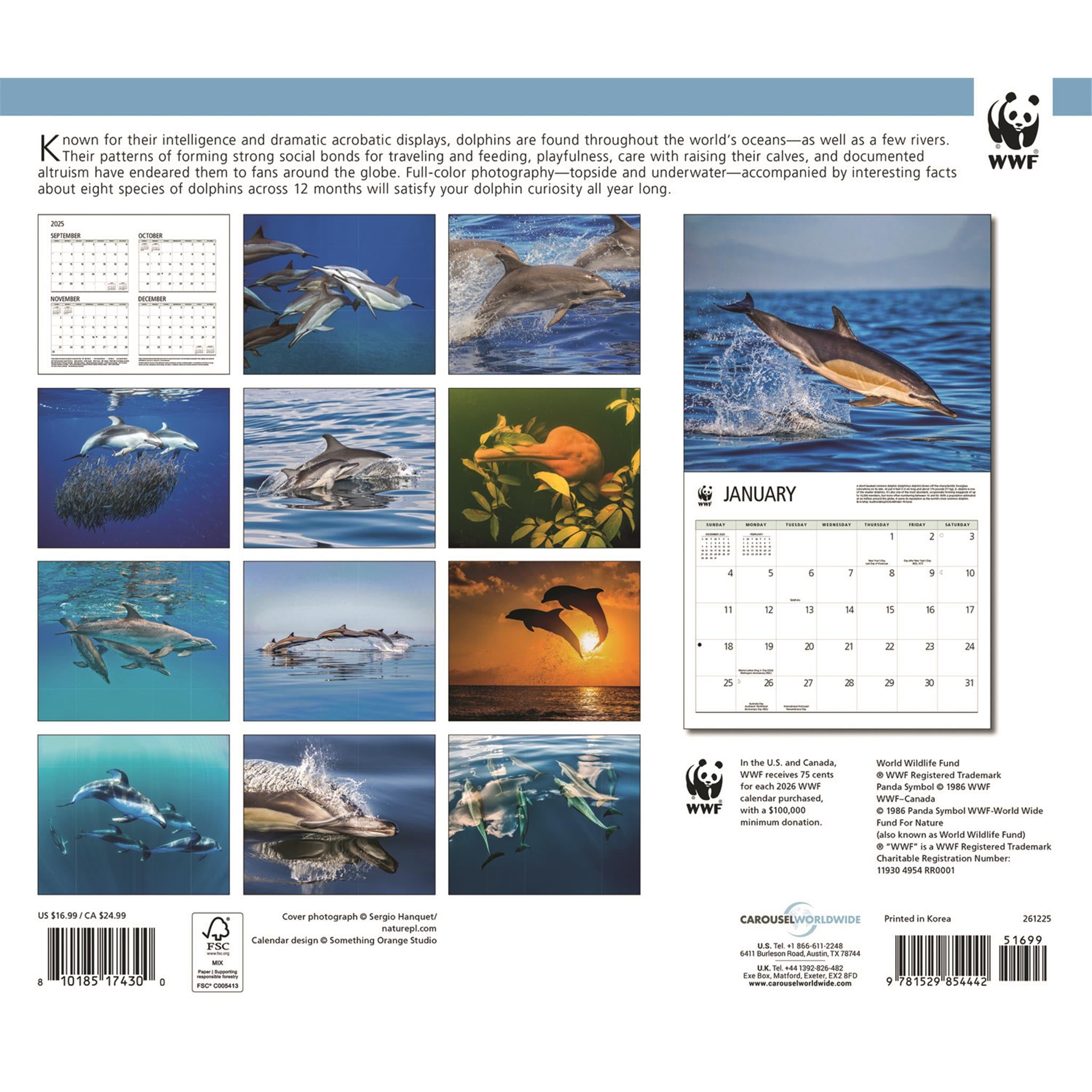 World Wildlife Fund Dolphins 2026 Wall Calendar