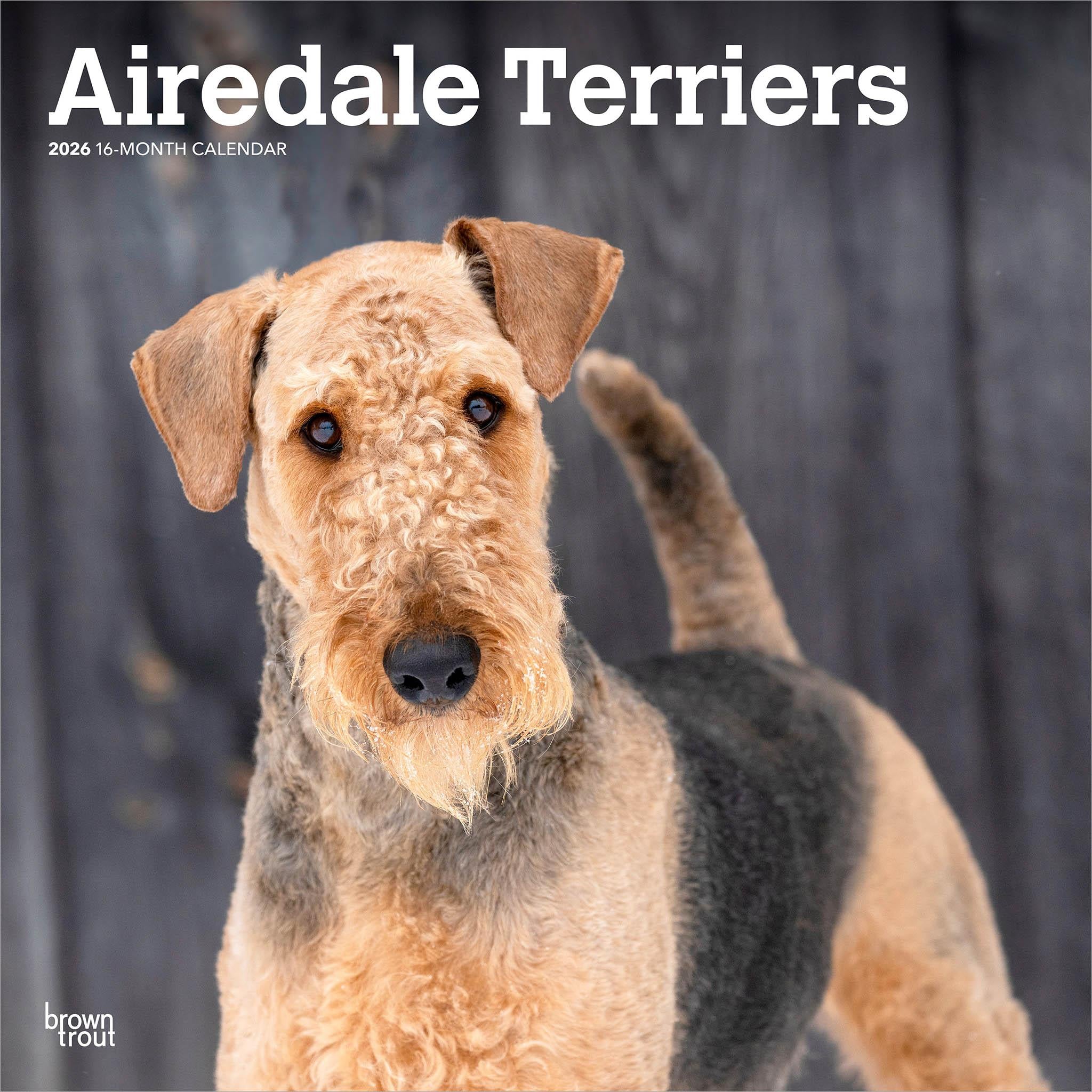 Cover of the Airedale Terriers 2026 Wall Calendar featuring a photograph of a Airedale Terrier dog with a brown and black color scheme against a wooden backdrop.