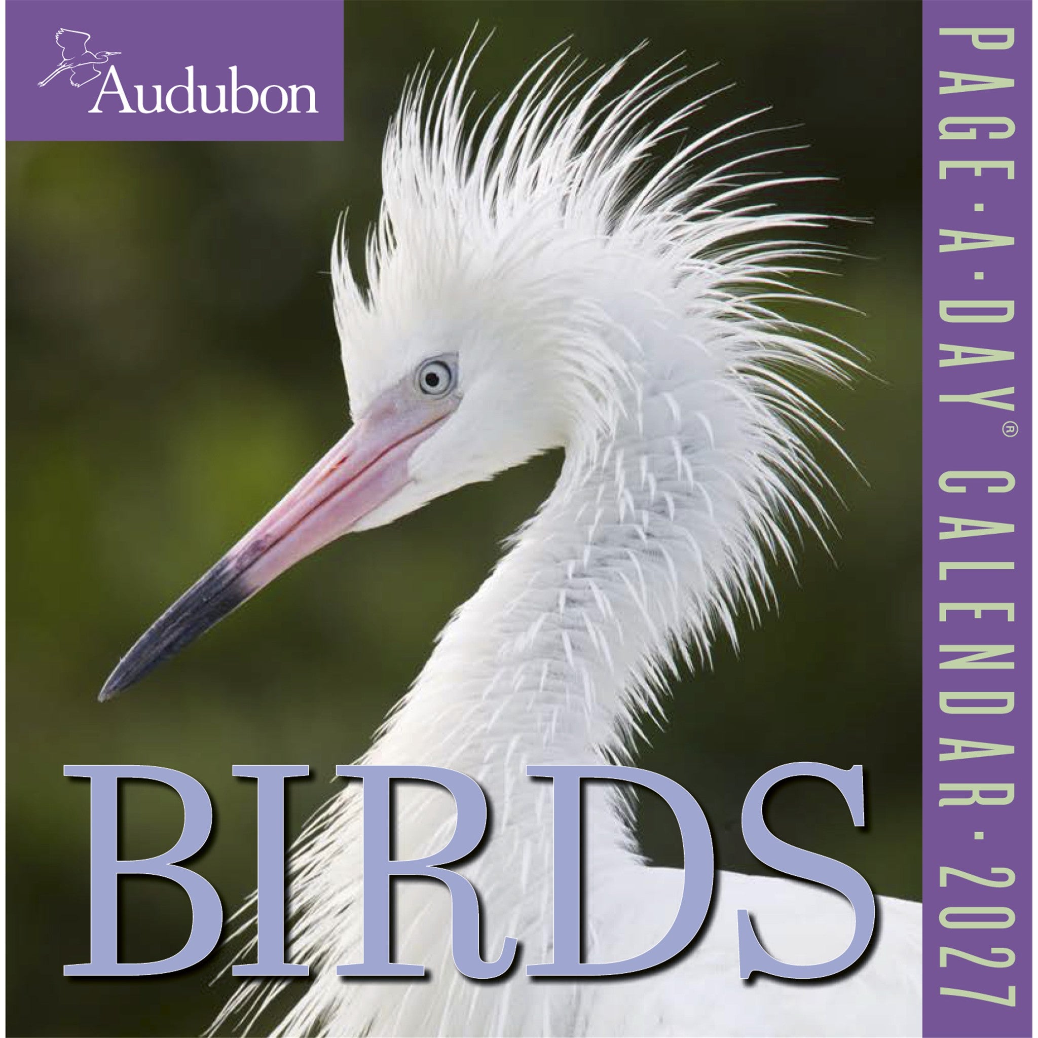 Audubon Birds 2027 Box Calendar