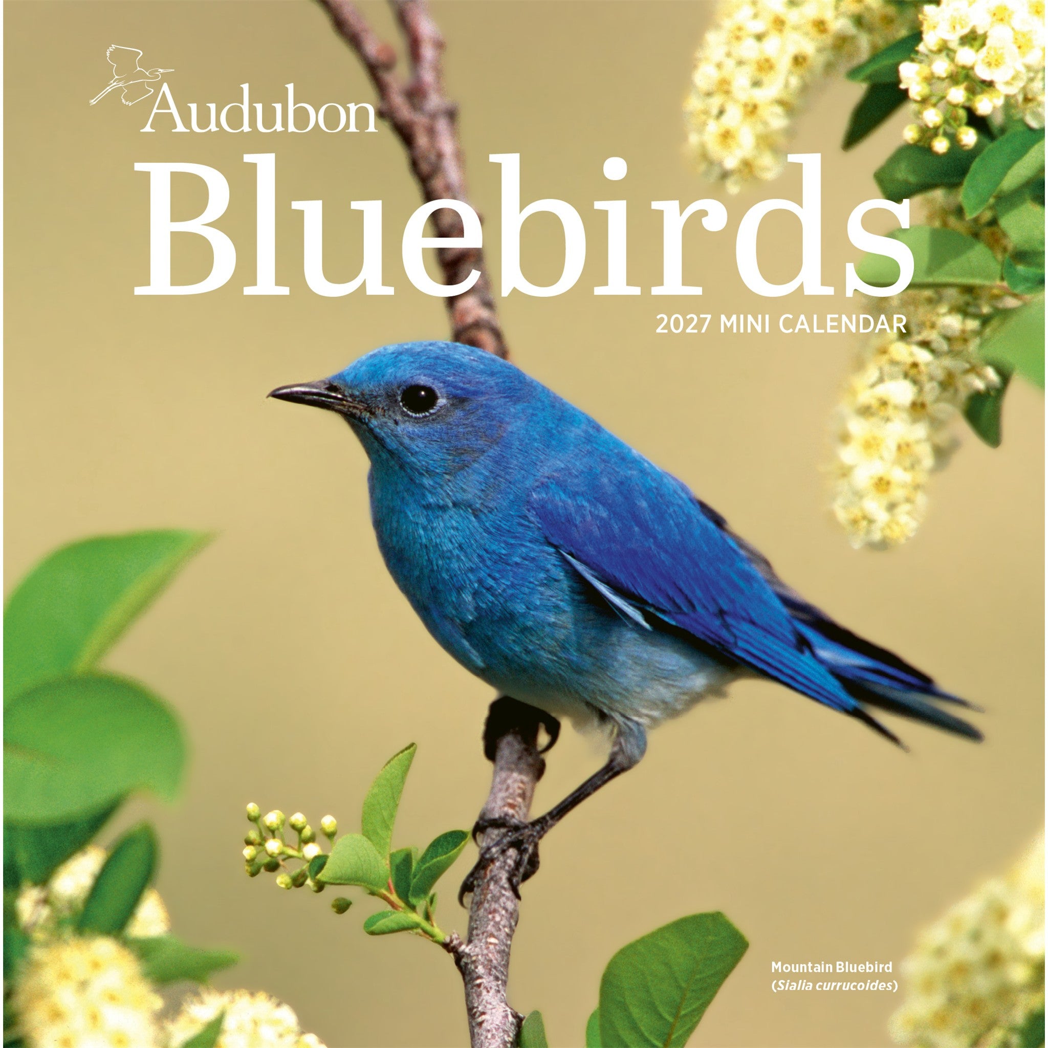 Audubon Bluebirds 2027 Mini Calendar - Online Only