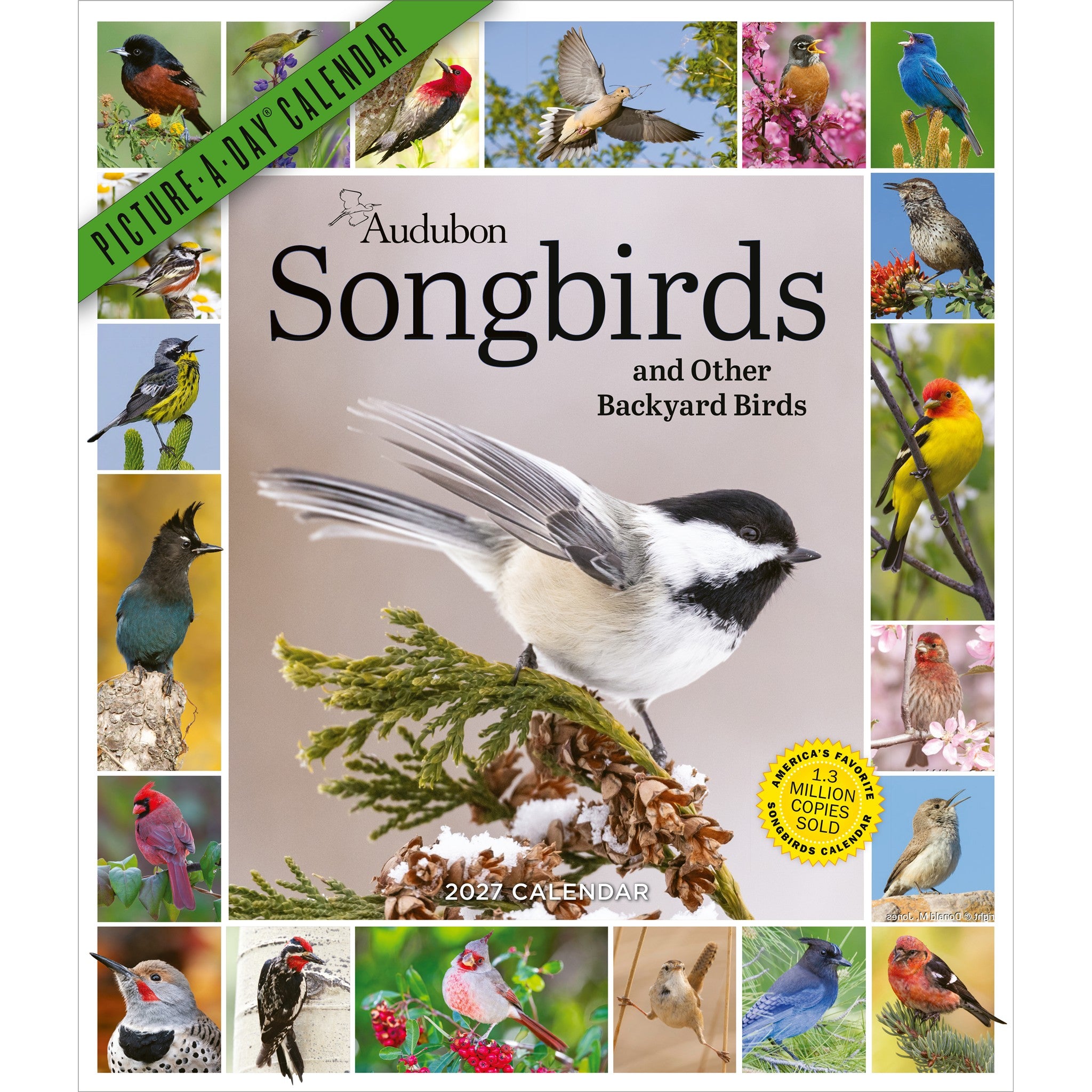 Audubon Songbirds 365 2027 Wall Calendar