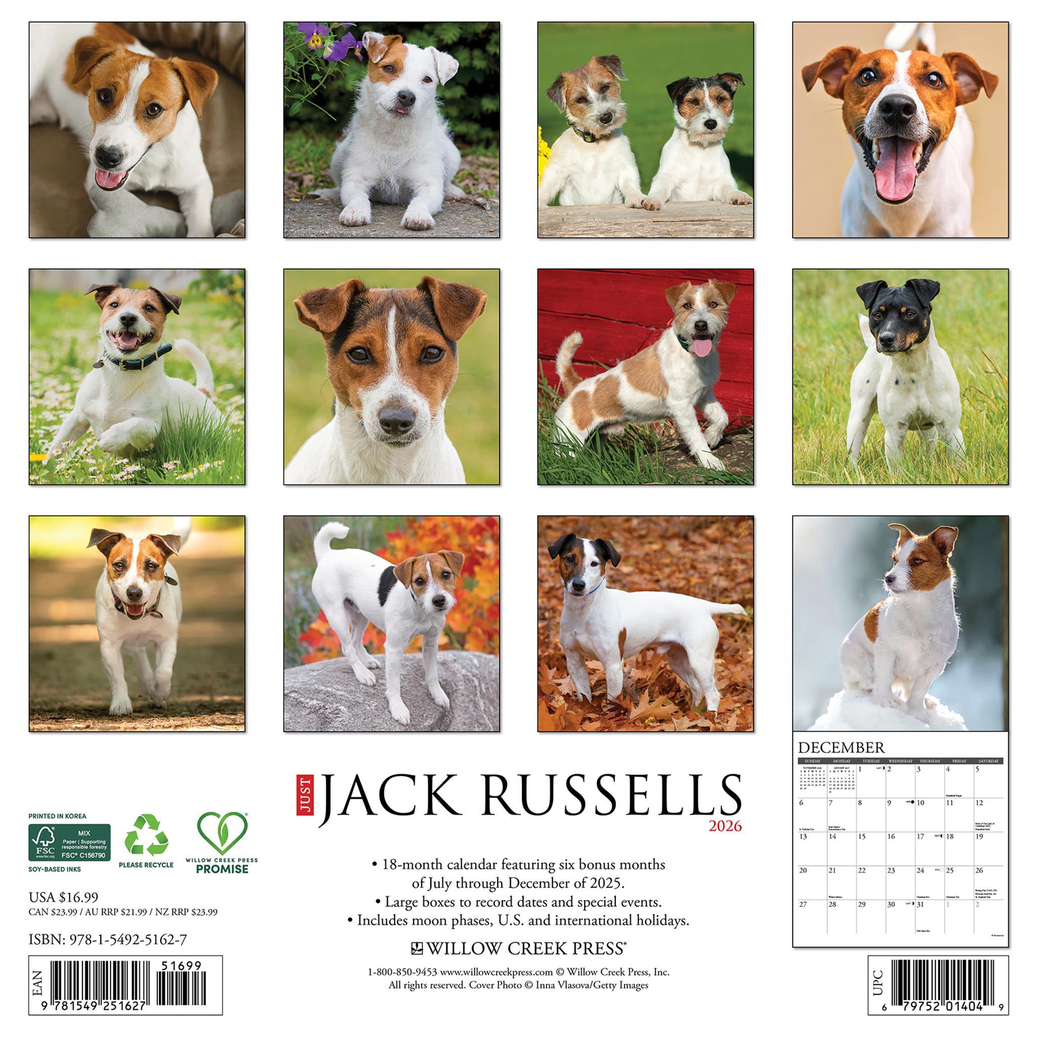 Jack Russells 2026 Just Wall Calendar