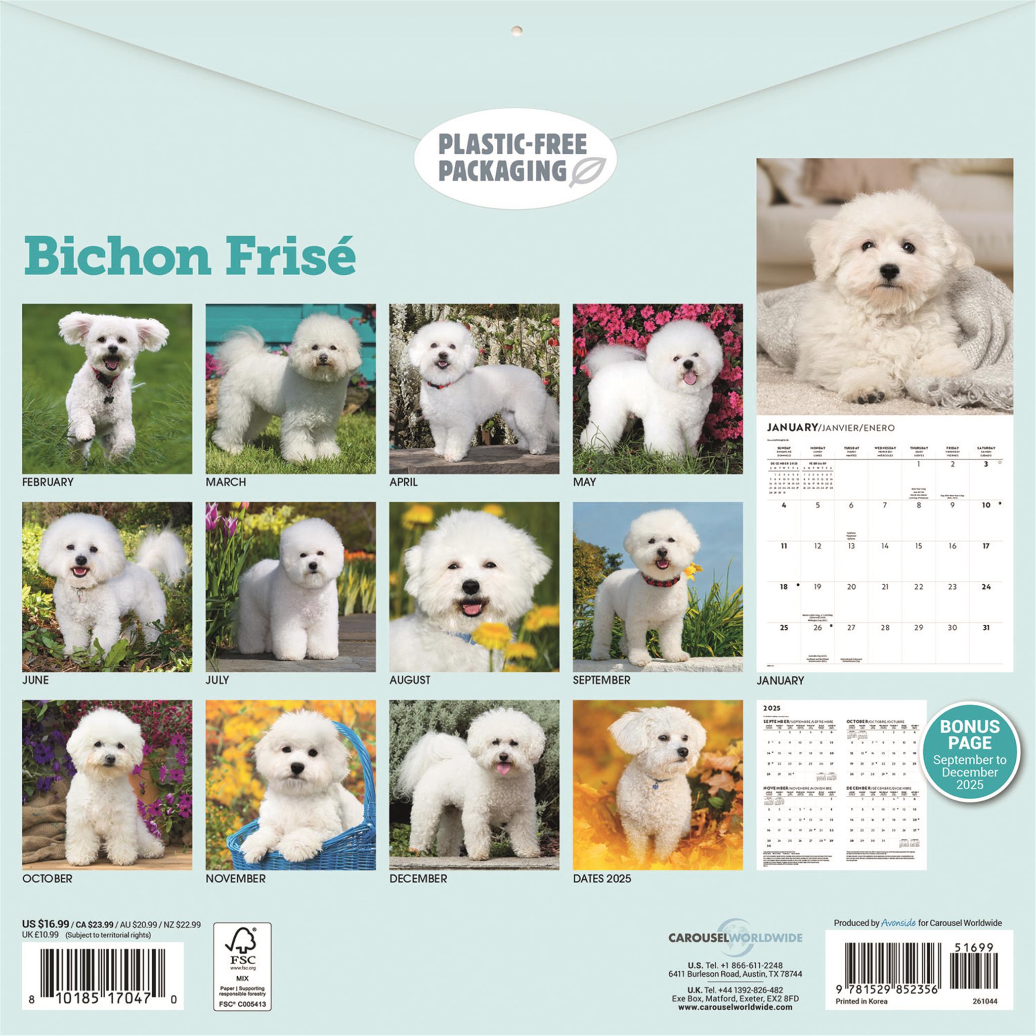 Bichon Frise 2026 Wall Calendar