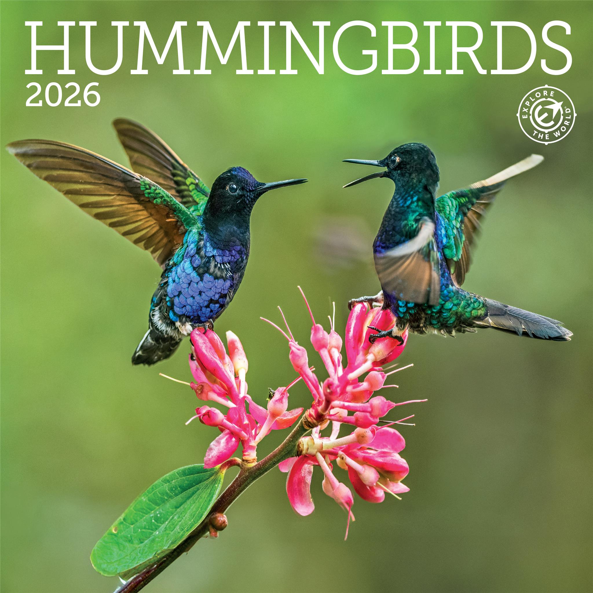 Hummingbirds 2026 Mini Calendar