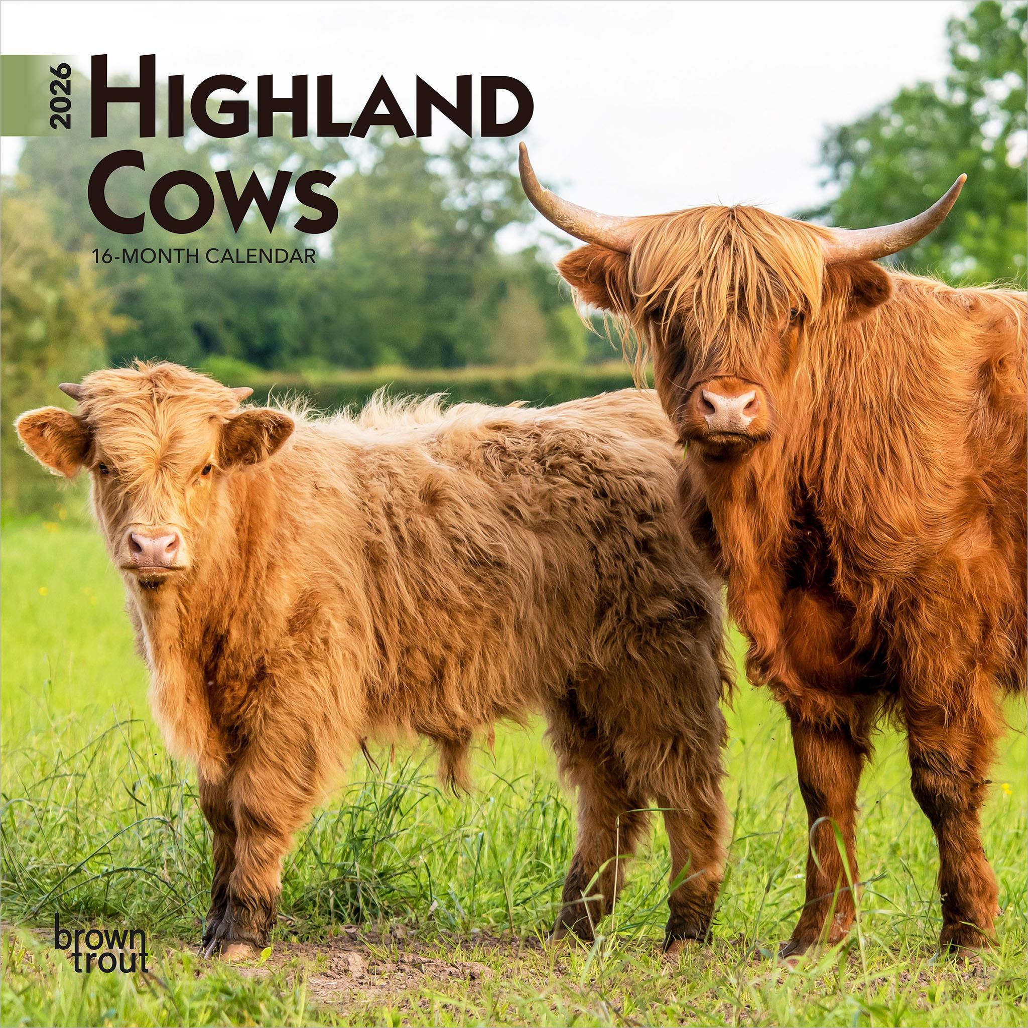 Highland Cows 2026 Mini Calendar