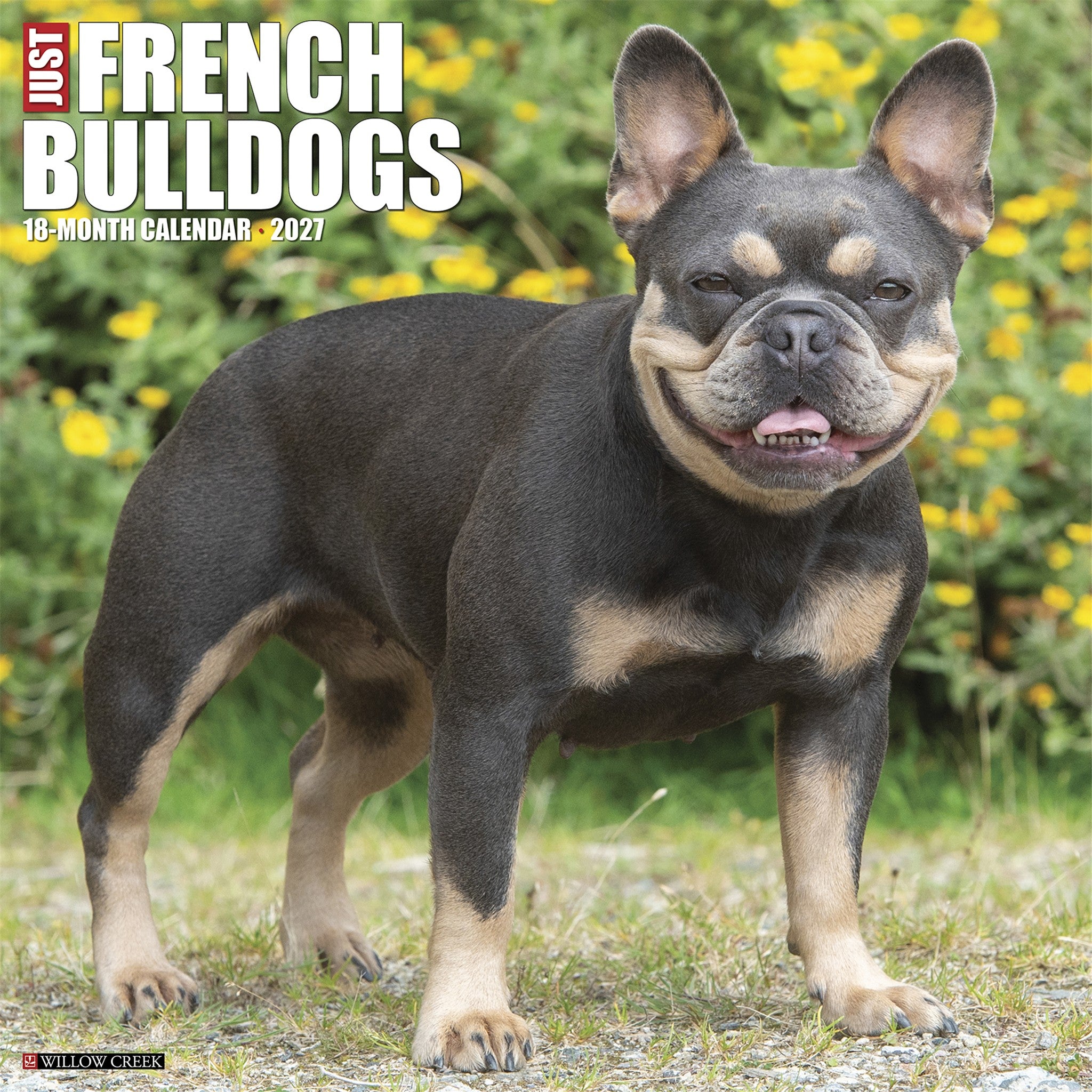 French Bulldogs 2027 Wall Calendar