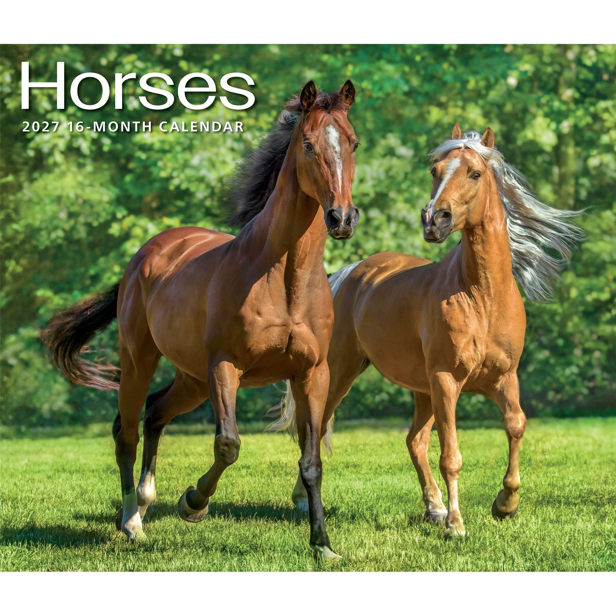 Horses 2027 Wall Calendar