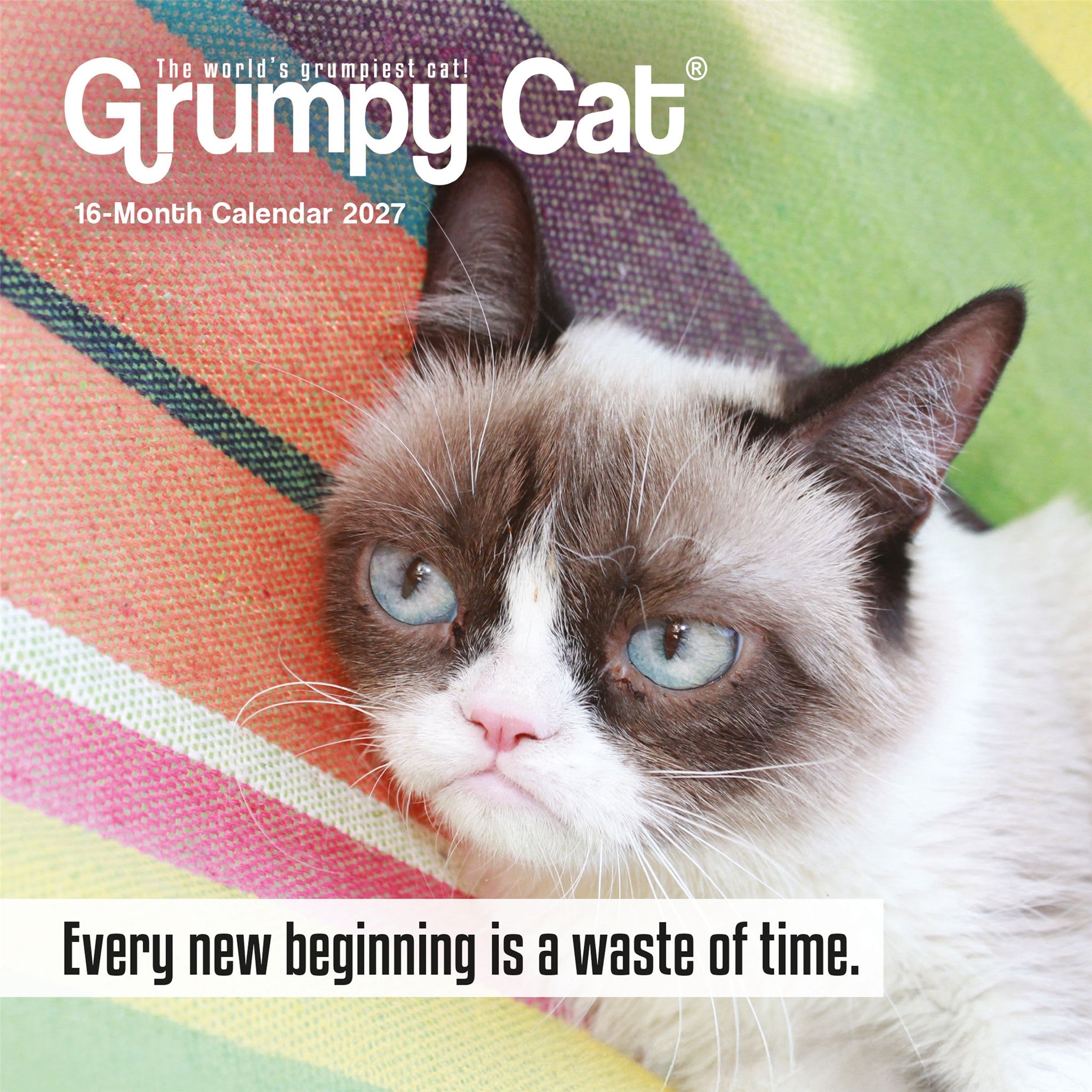 Grumpy Cat 2027 Mini Calendar