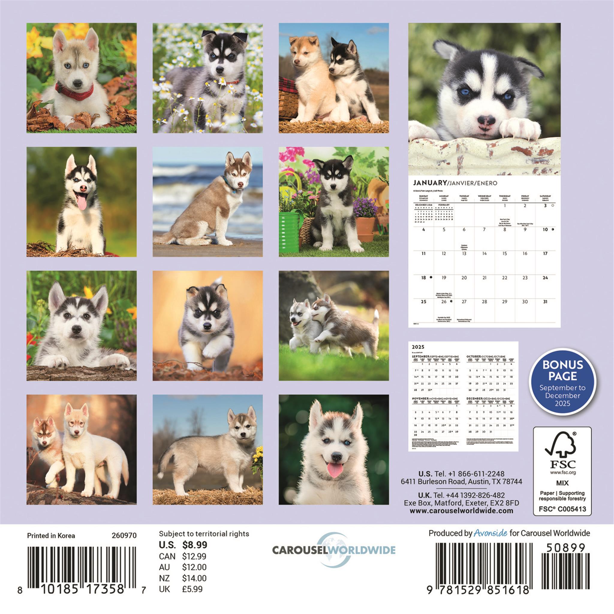 Siberian Husky Puppies 2026 Mini Calendar