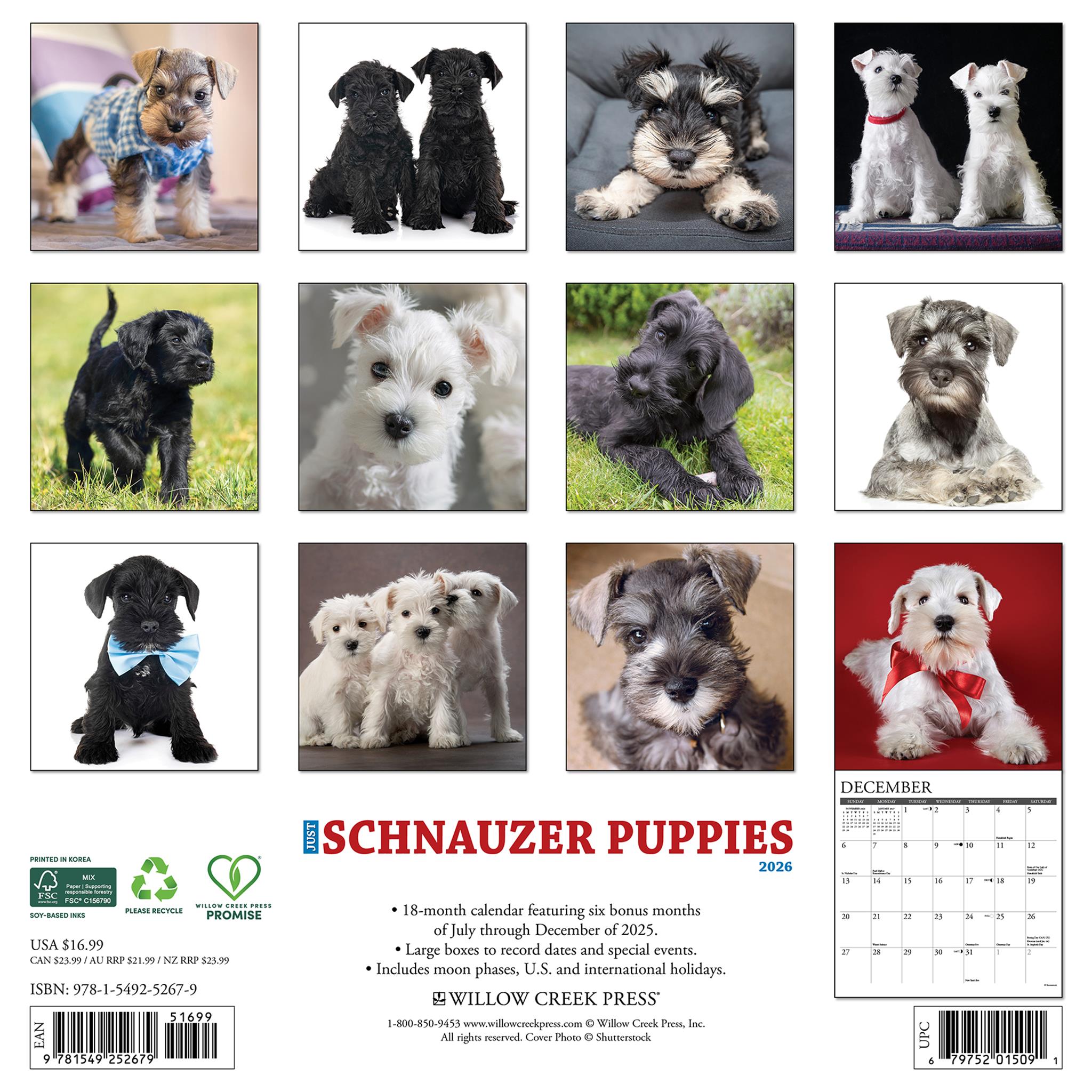 Schnauzer Puppies 2026 Just Wall Calendar