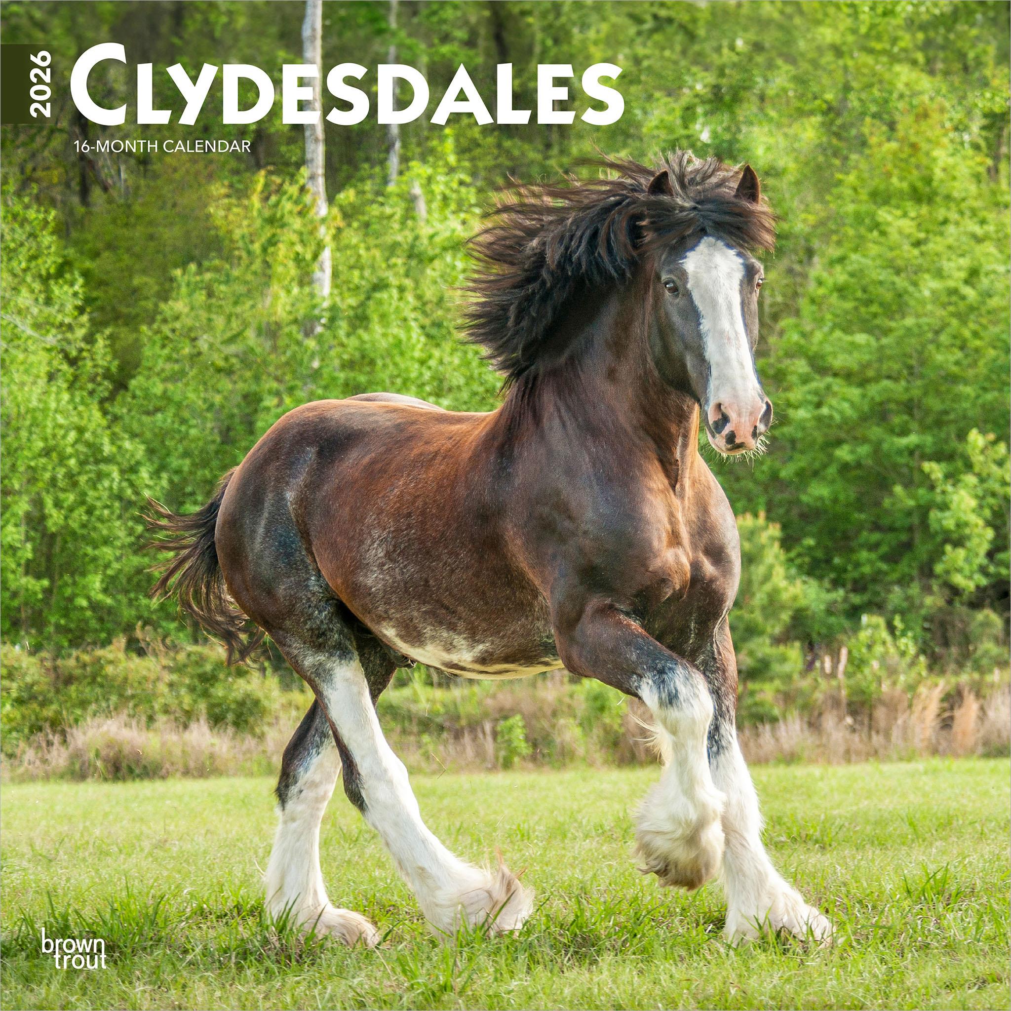 Clydesdales 2026 Wall Calendar - Online Only