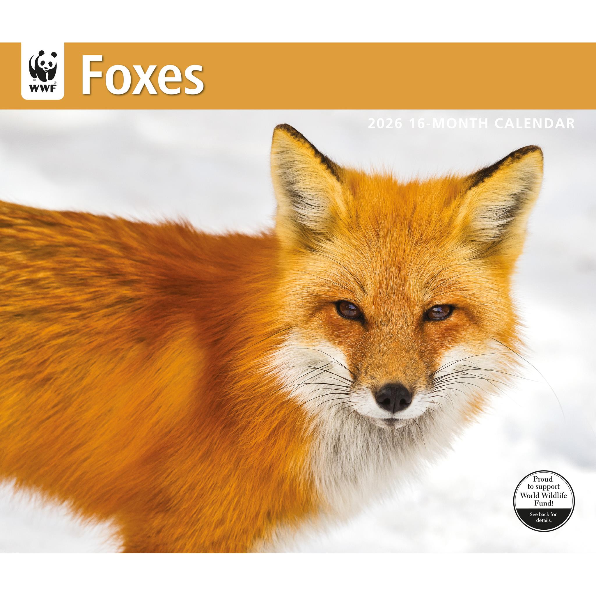 World Wildlife Fund Foxes 2026 Wall Calendar - Calendar Club Canada