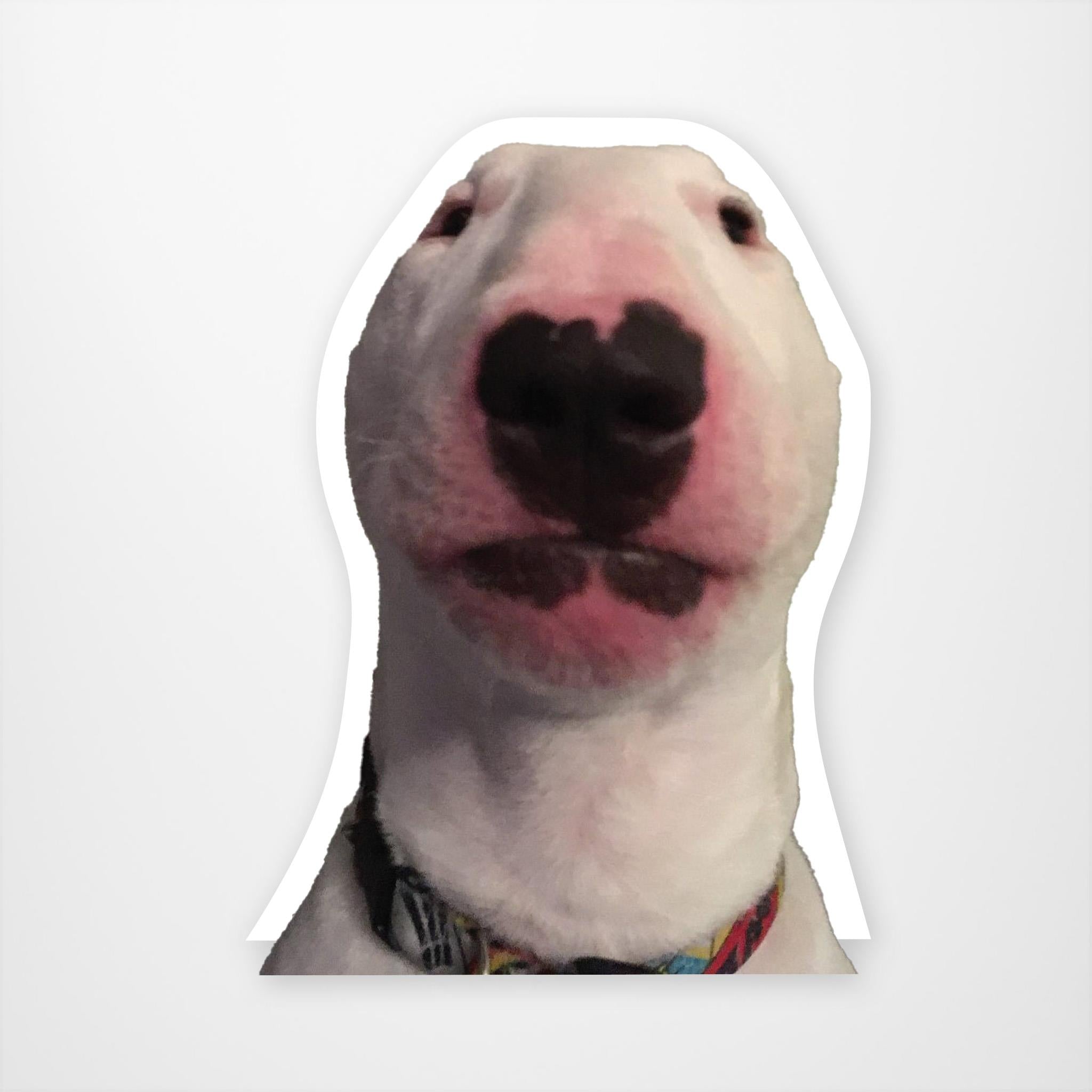 Walter Dog Meme Vinyl Sticker