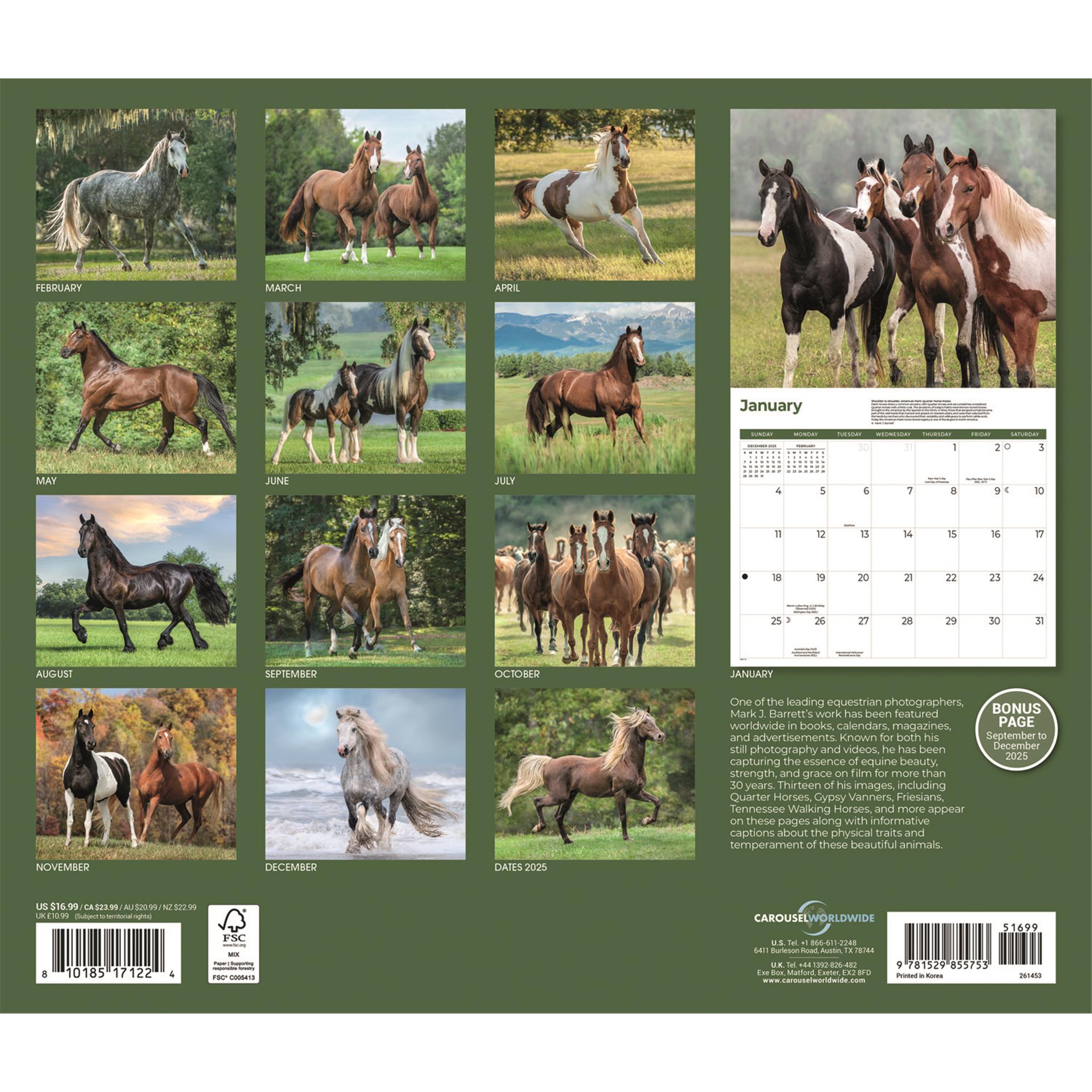 Horses 2026 Wall Calendar
