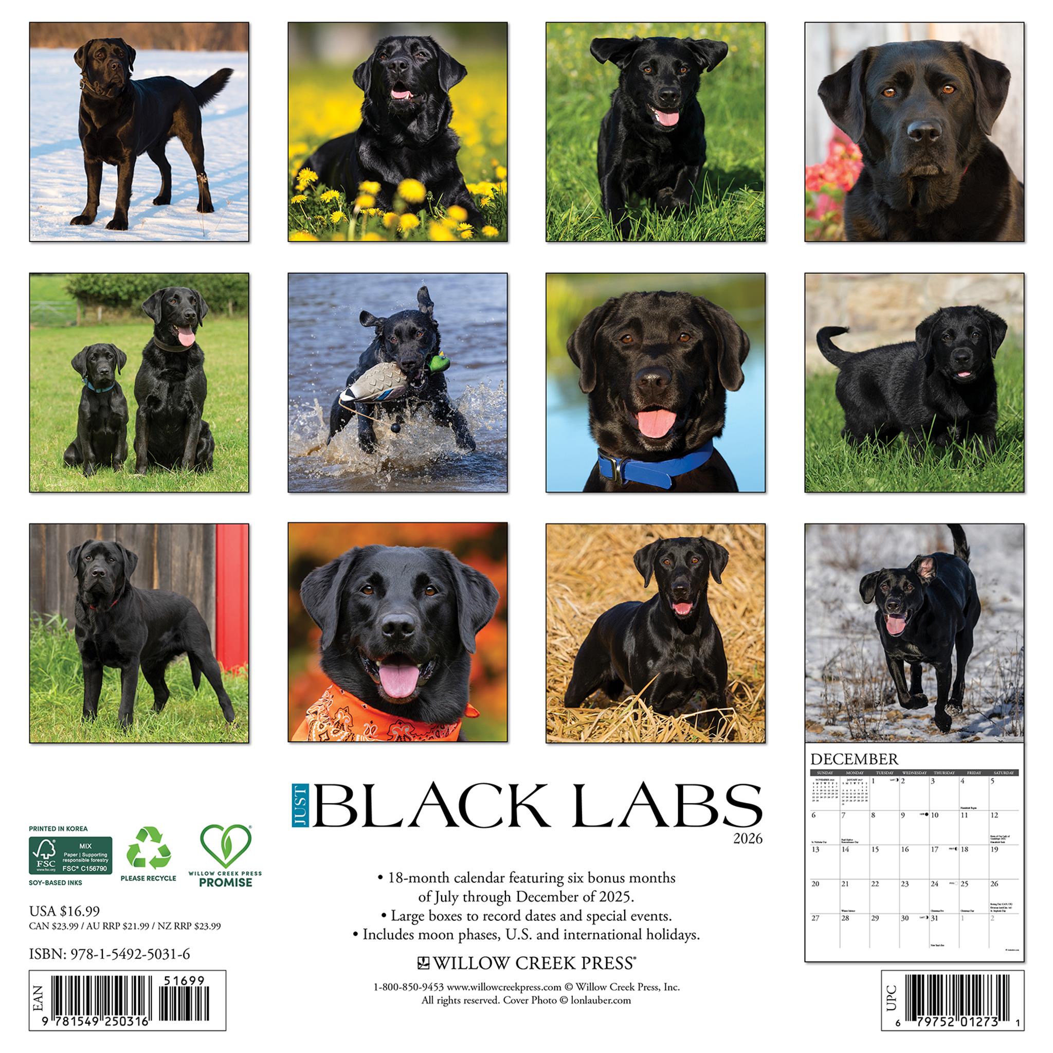Just Black Labs 2026 Wall Calendar - Online Only