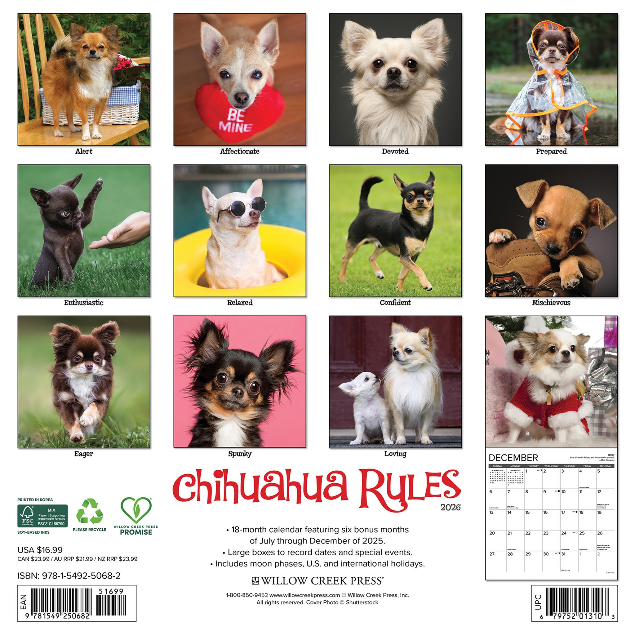 Chihuahua Rules 2026 Wall Calendar - Online Only
