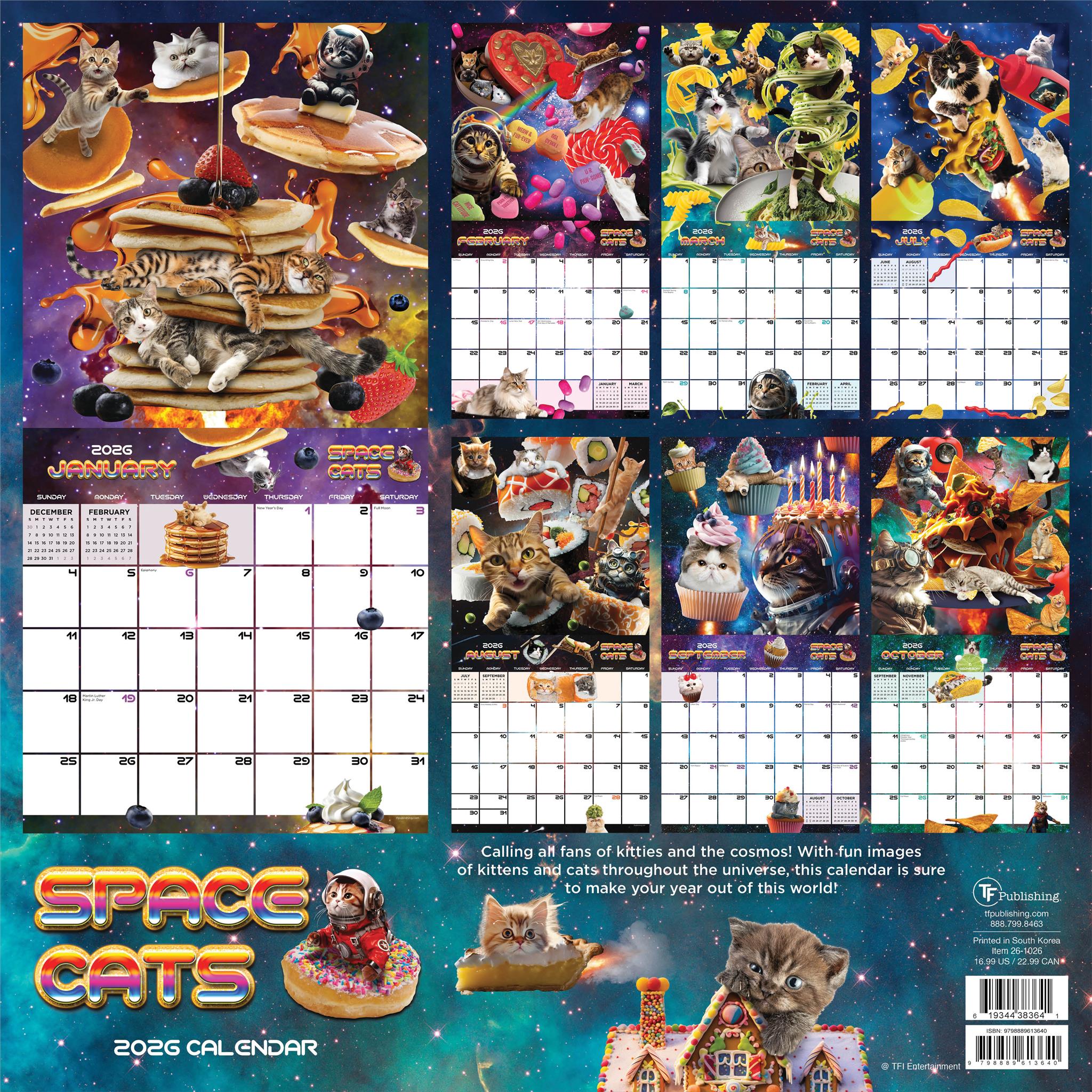 Space Cats 2026 Wall Calendar - Online Only