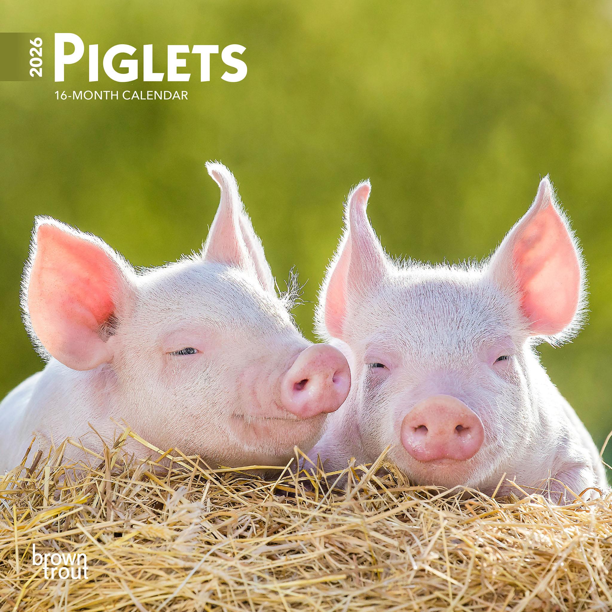 Piglets 2026 Mini Calendar