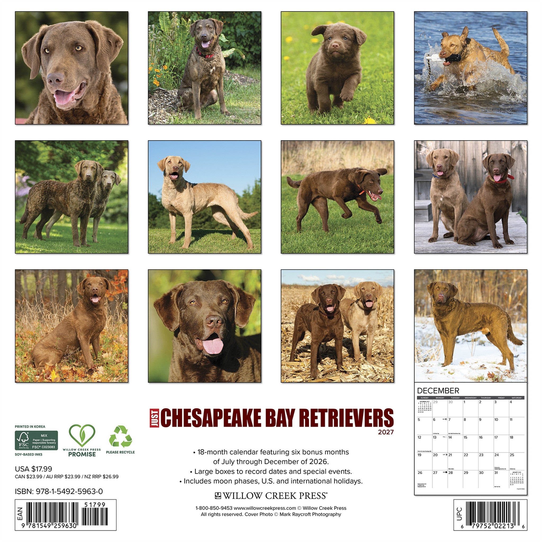 Chesapeake Bay Retrievers 2027 Wall Calendar