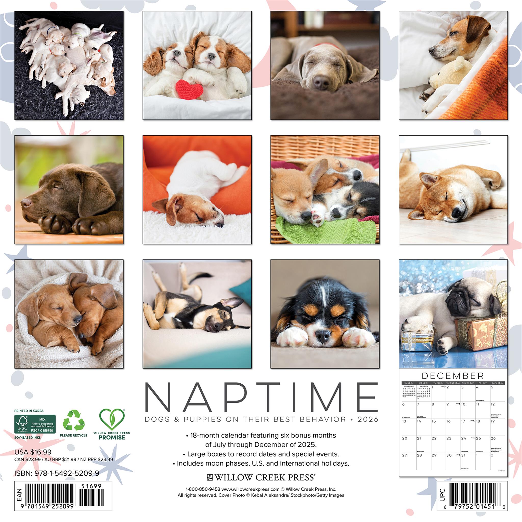 Naptime Dogs And Puppies 2026 Wall Calendar