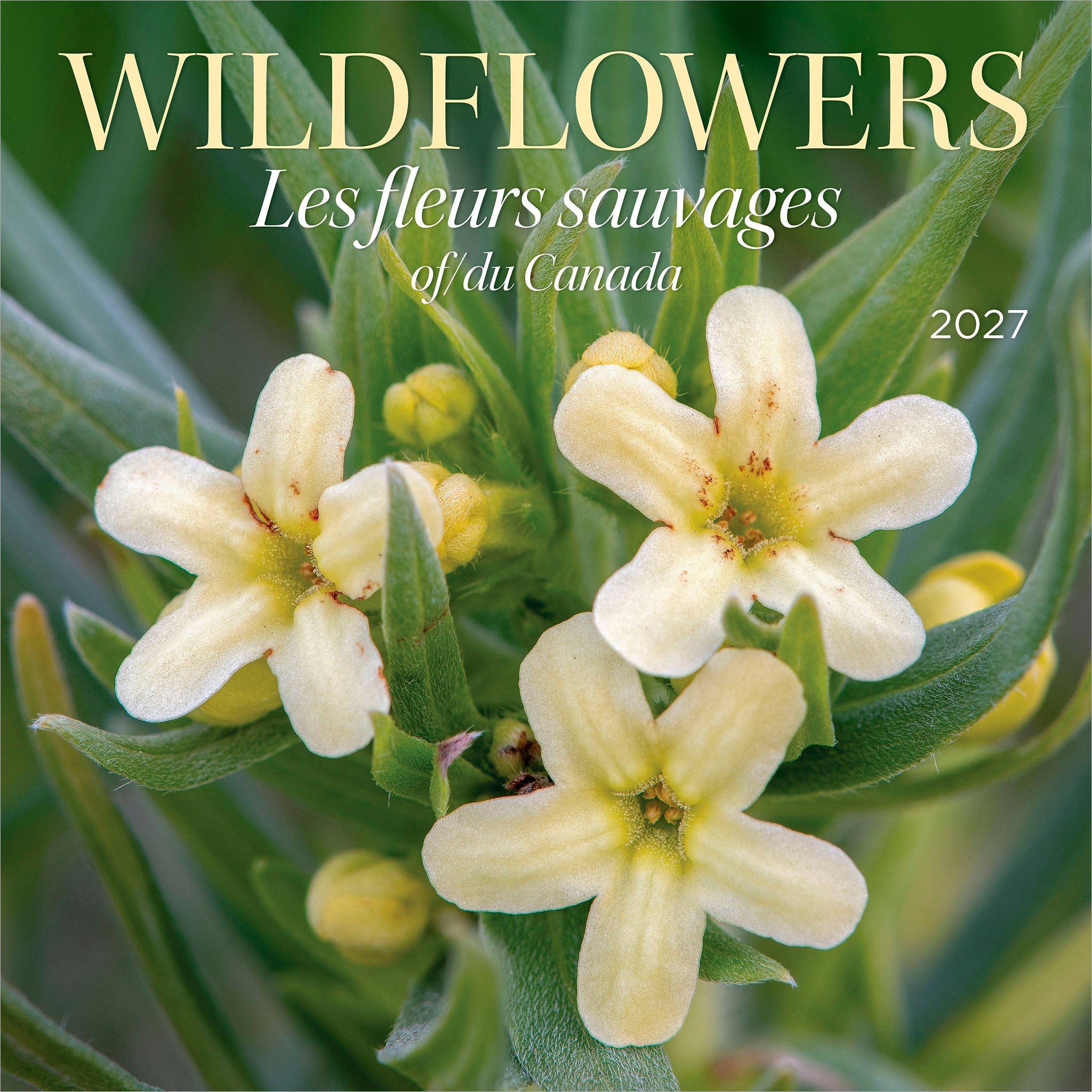 Wildflowers of Canada / Les fleurs sauvages du Canada 2027 Wall Calendar