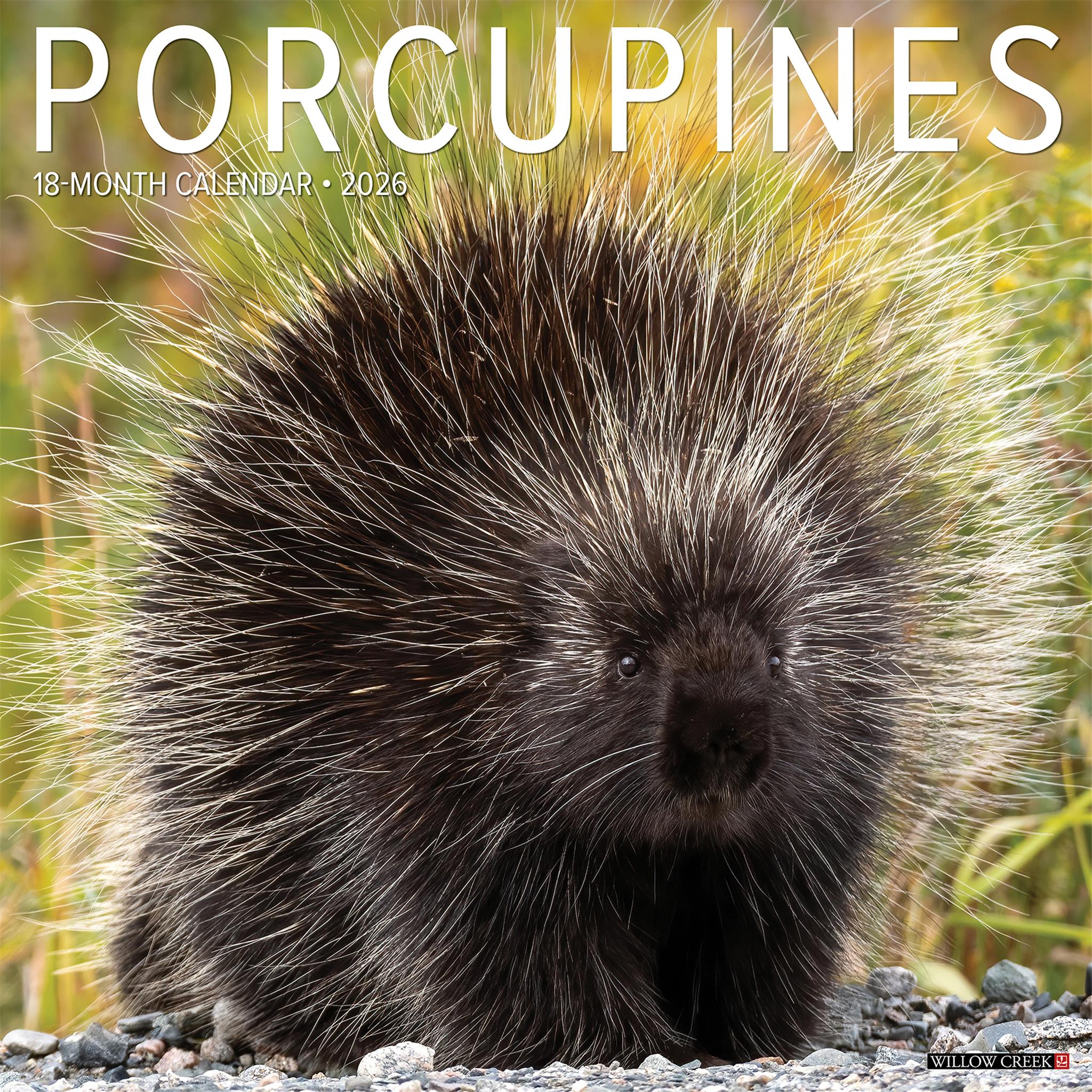Porcupines 2026 Wall Calendar - Online Only