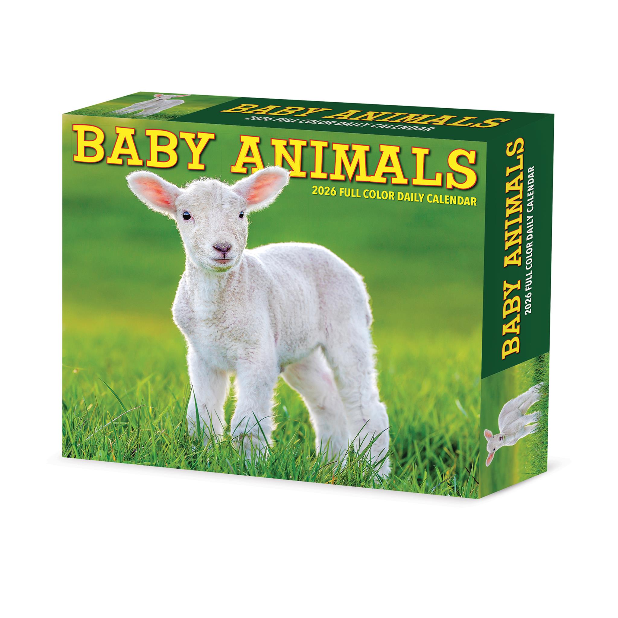 Baby Animals 2026 Box Calendar packaging